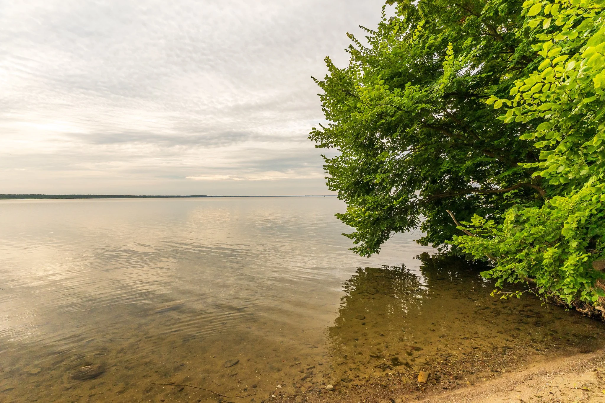 Beautiful Müritz XIII