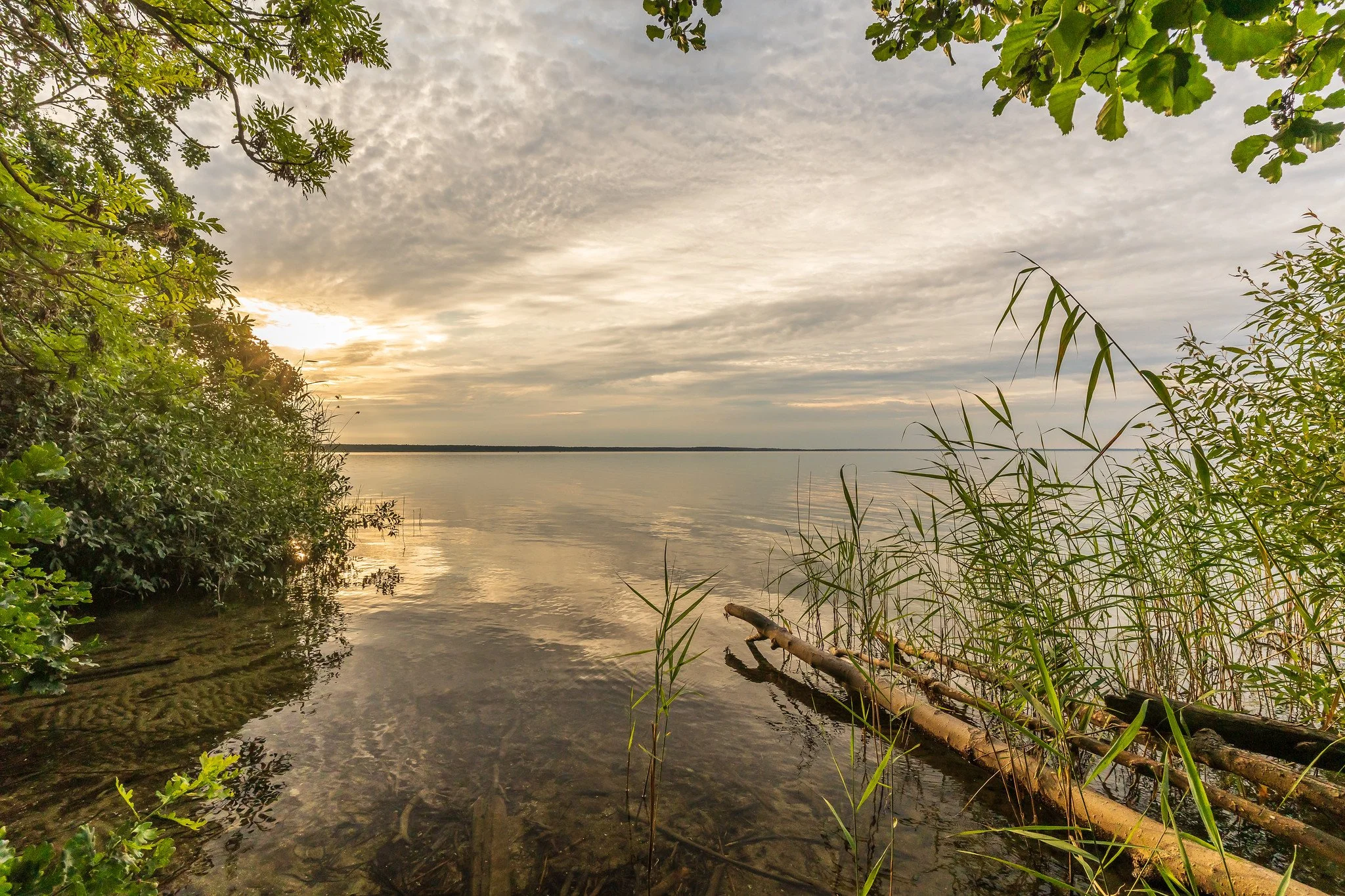 Beautiful Müritz XII