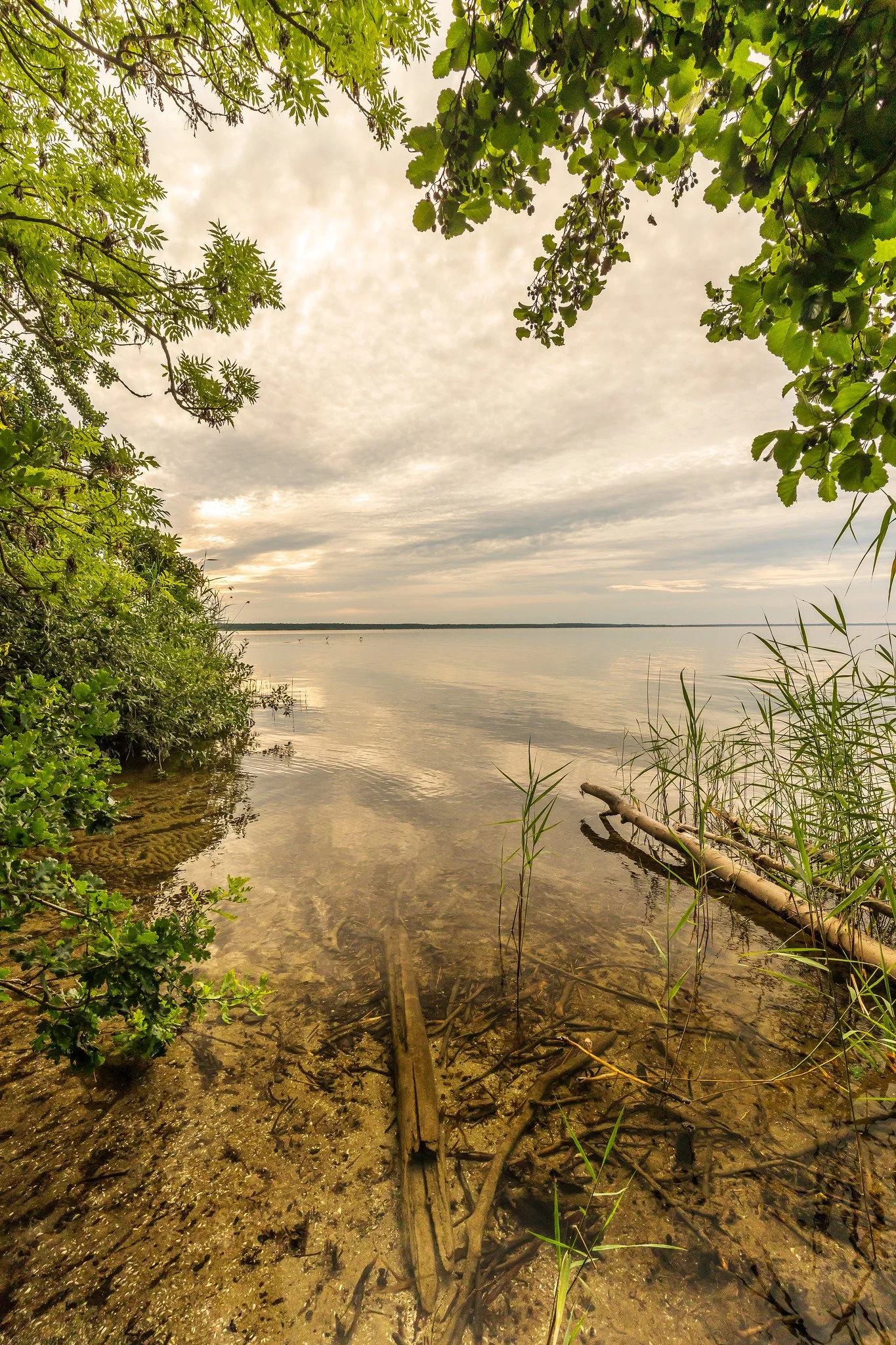 Beautiful Müritz XIV