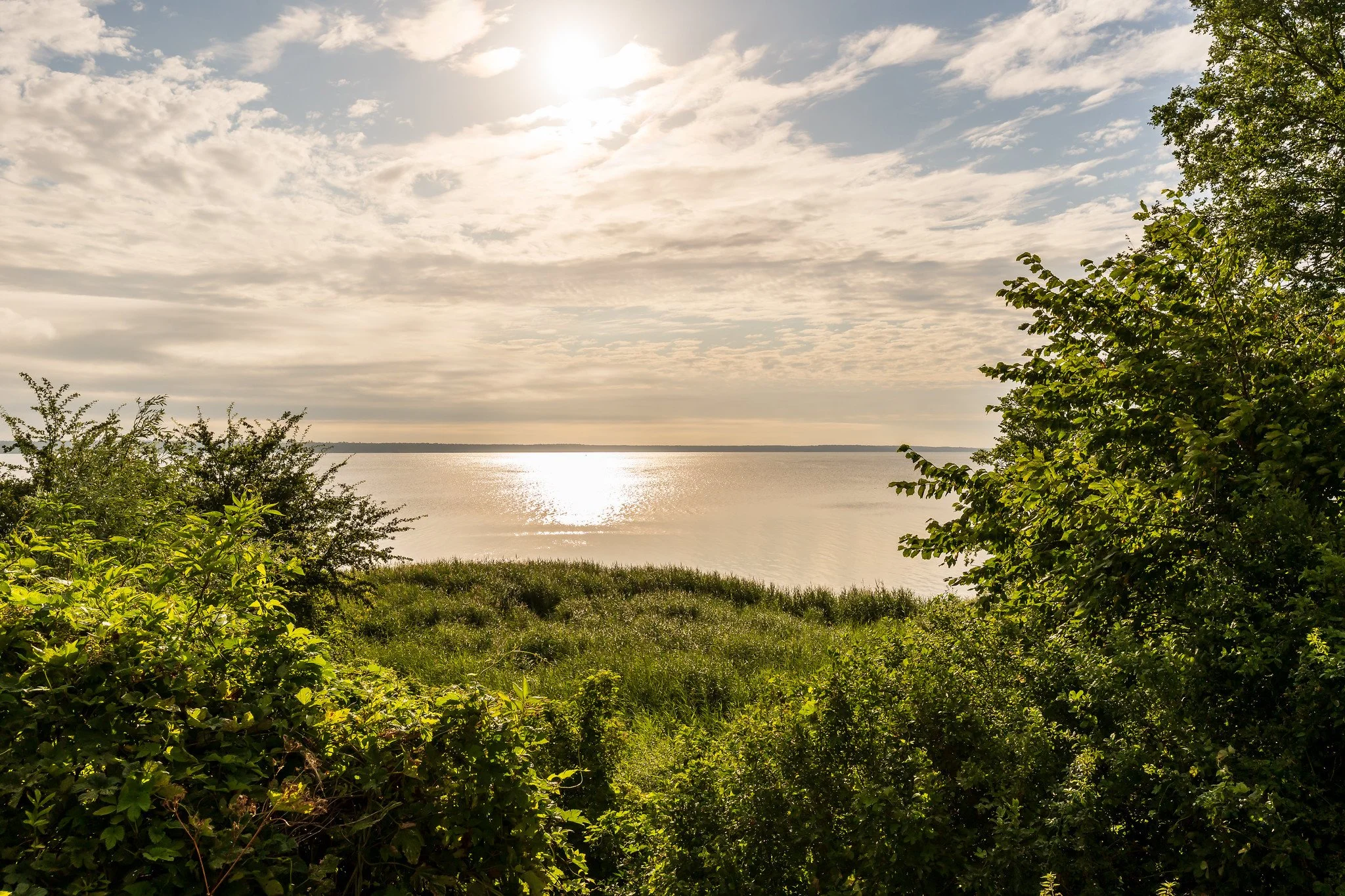 Beautiful Müritz X