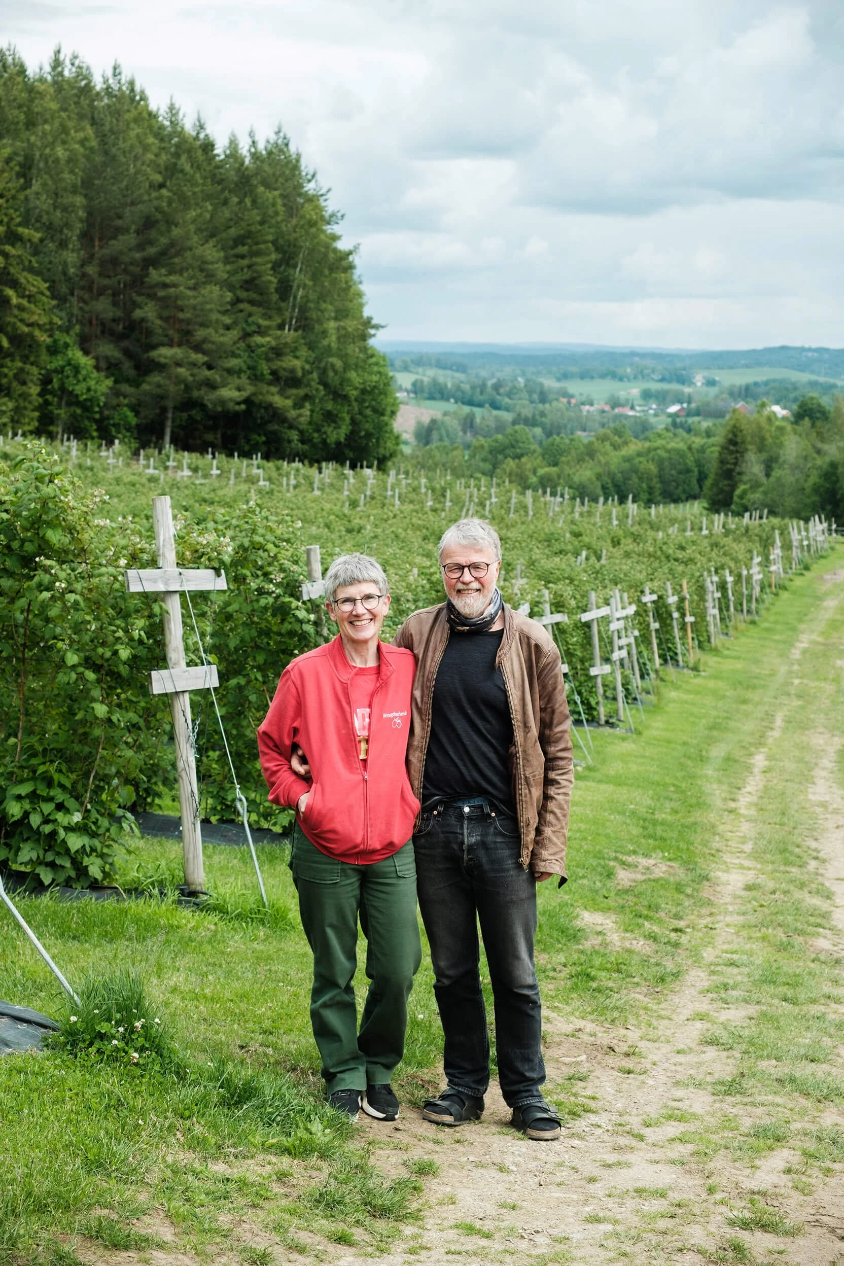 Håndplukkede bringebær fra Bringebærlandet utenfor Drøbak – smaken av norsk sommer.