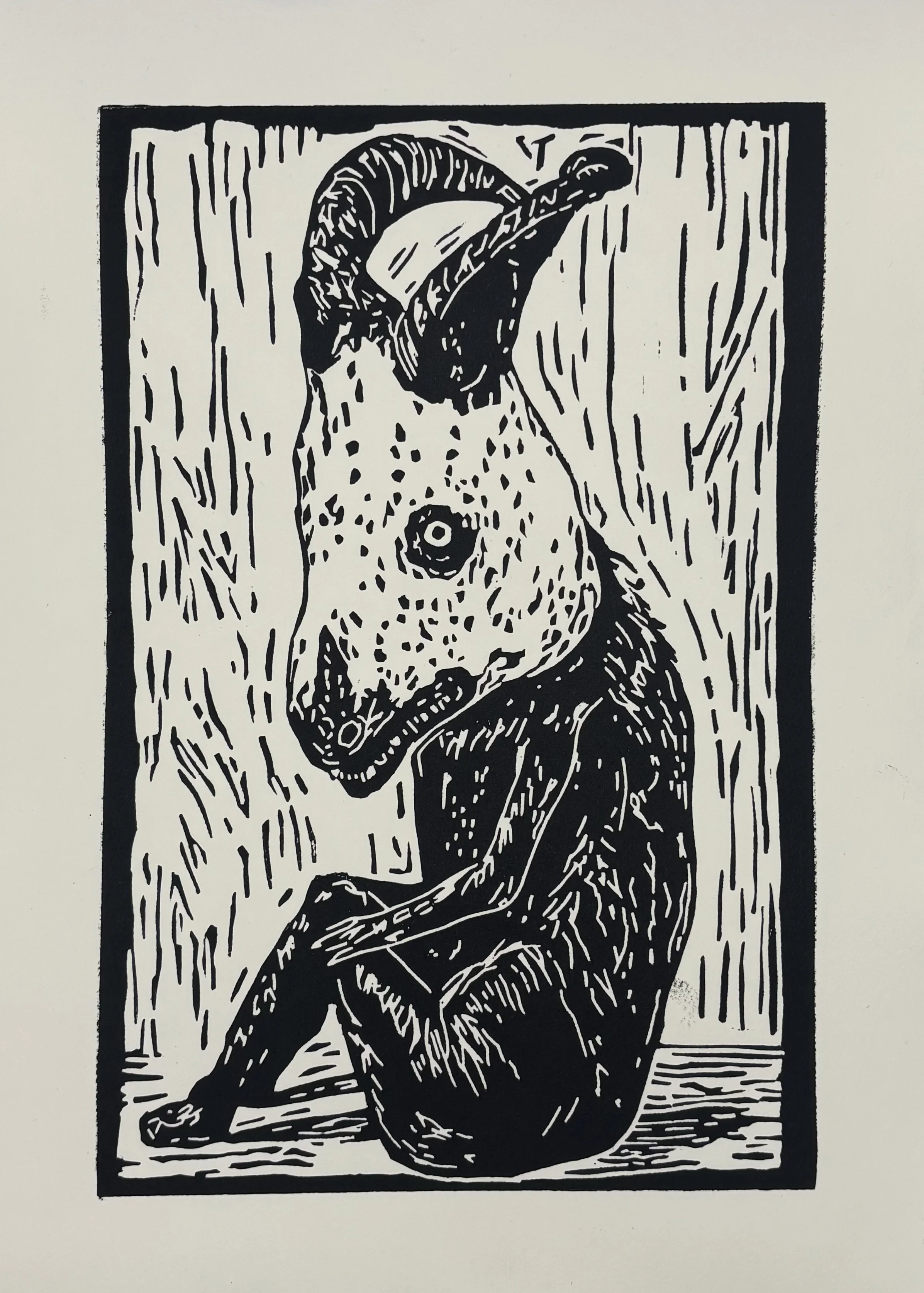 Harris Asteriko