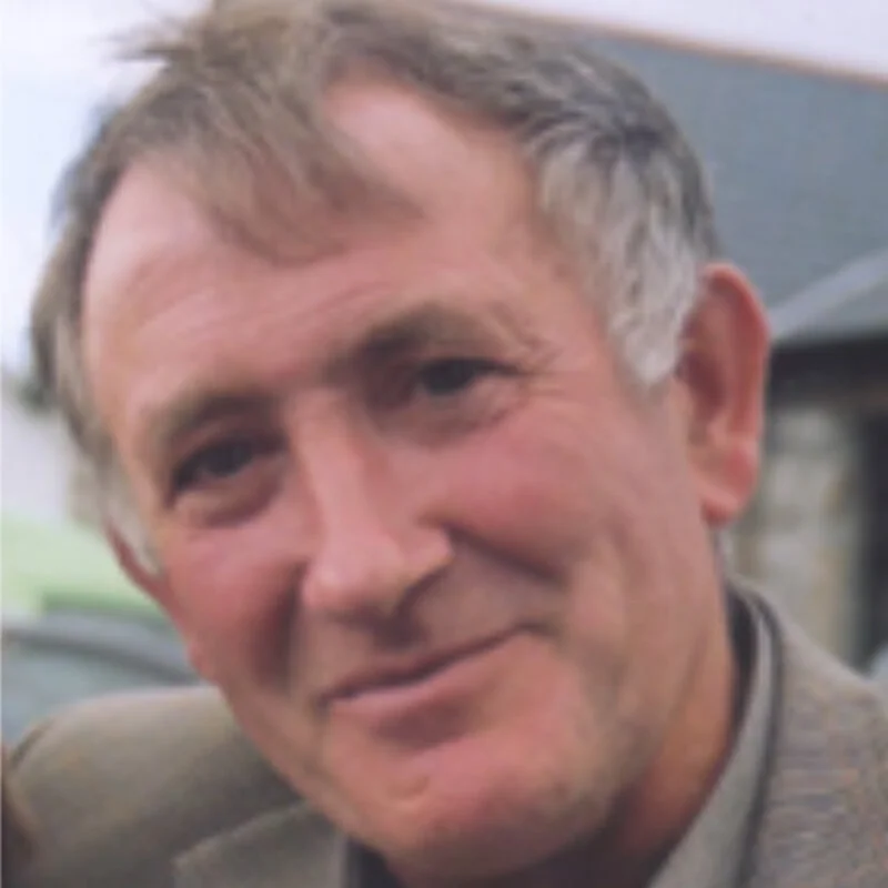 Joe Steve Ó Neachtain