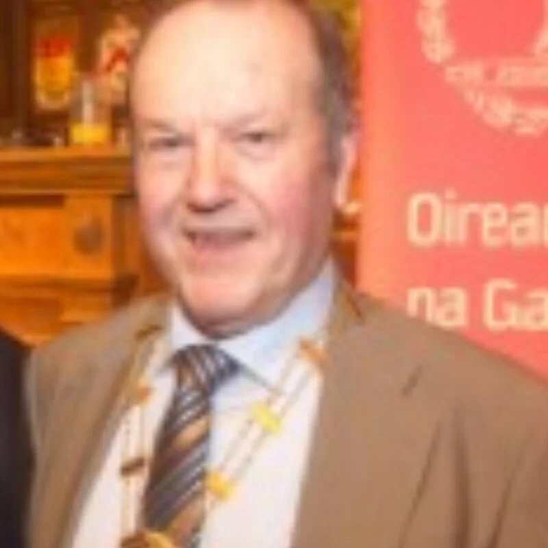 Pádraig Ó hÉalaí