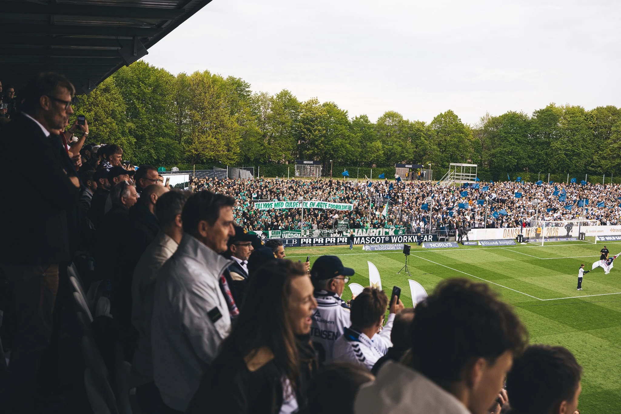 DANSKE MESTRE-3.jpg