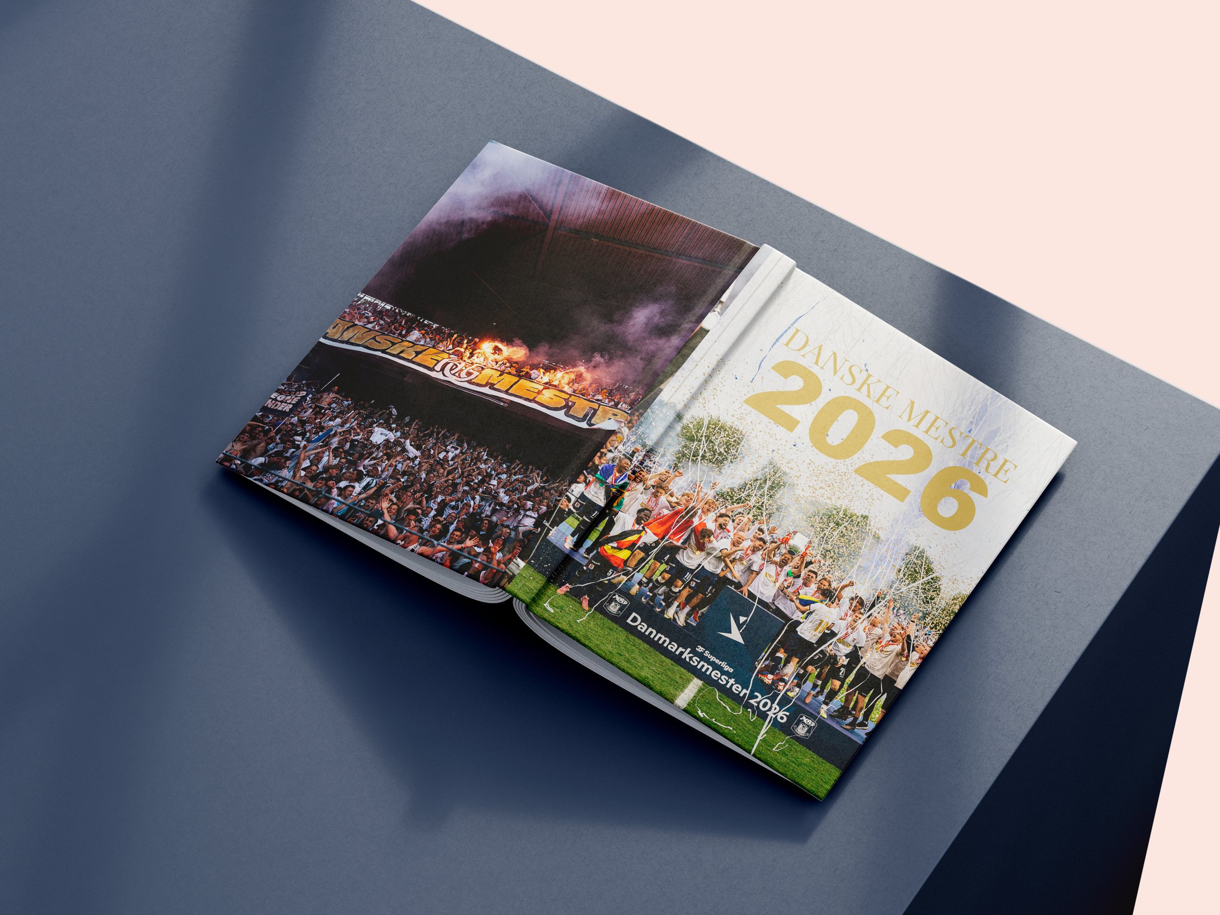 Free_Book_Mockup_8.jpg