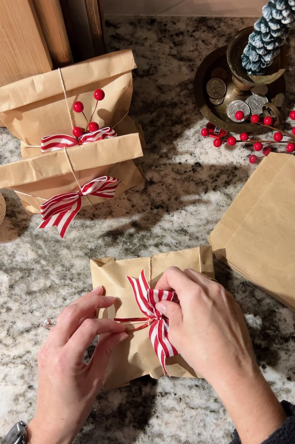DIY Holiday Treat Bag 4.jpeg