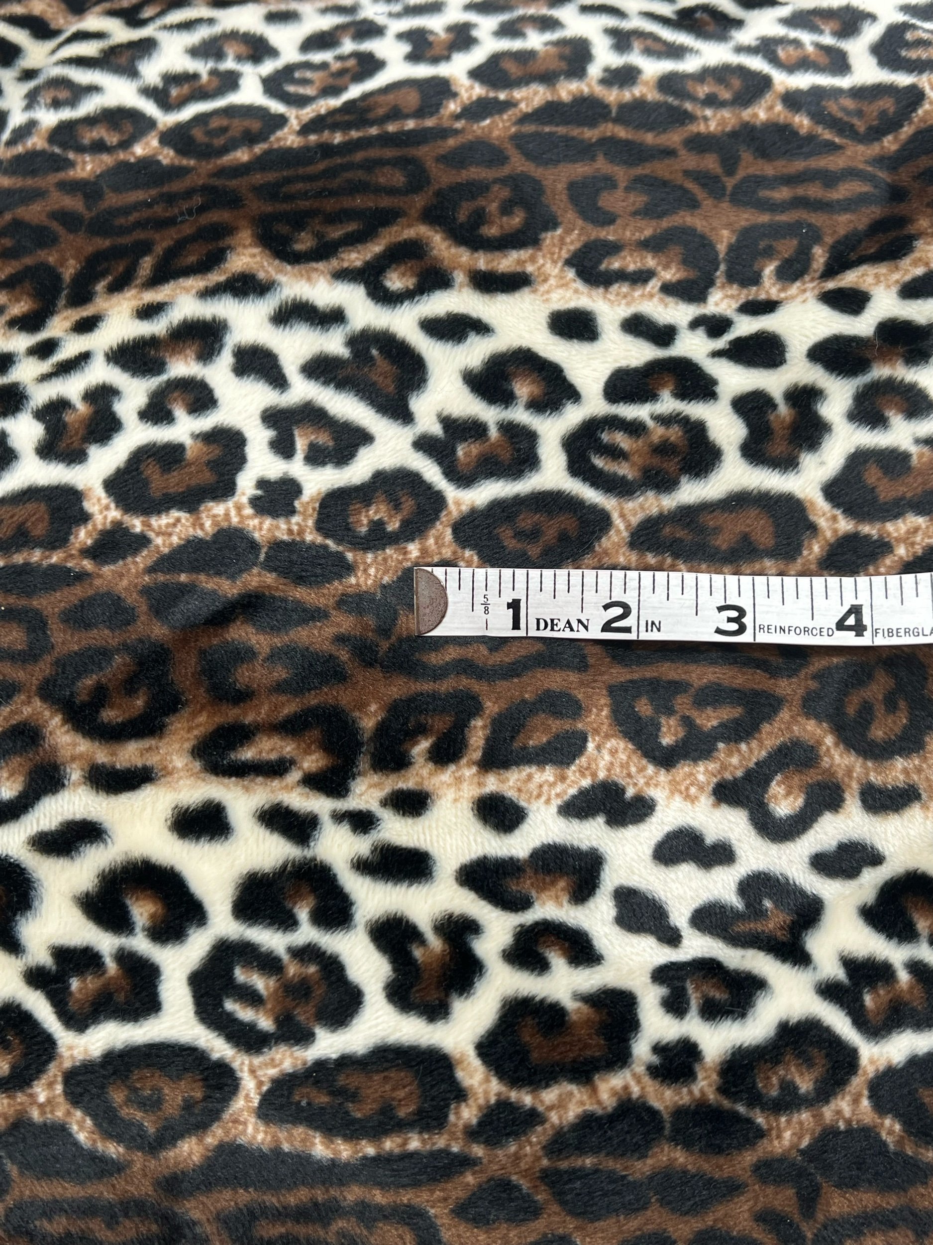 5E753CF2-3A02-4C34-871A-0975B4AD0BC8.jpeg