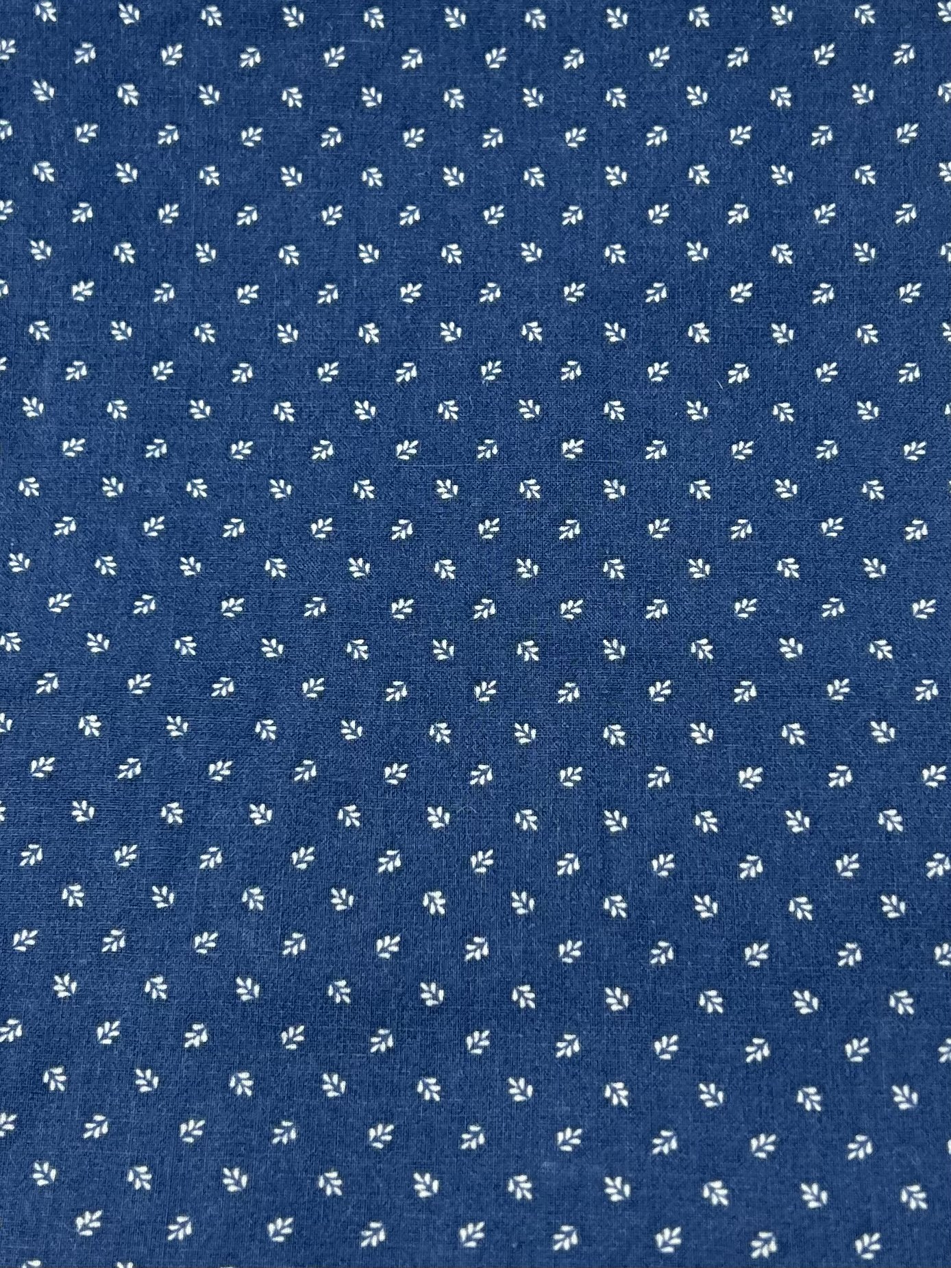 C9B69E63-71CF-4960-A61B-A106FBC4FC66.jpeg