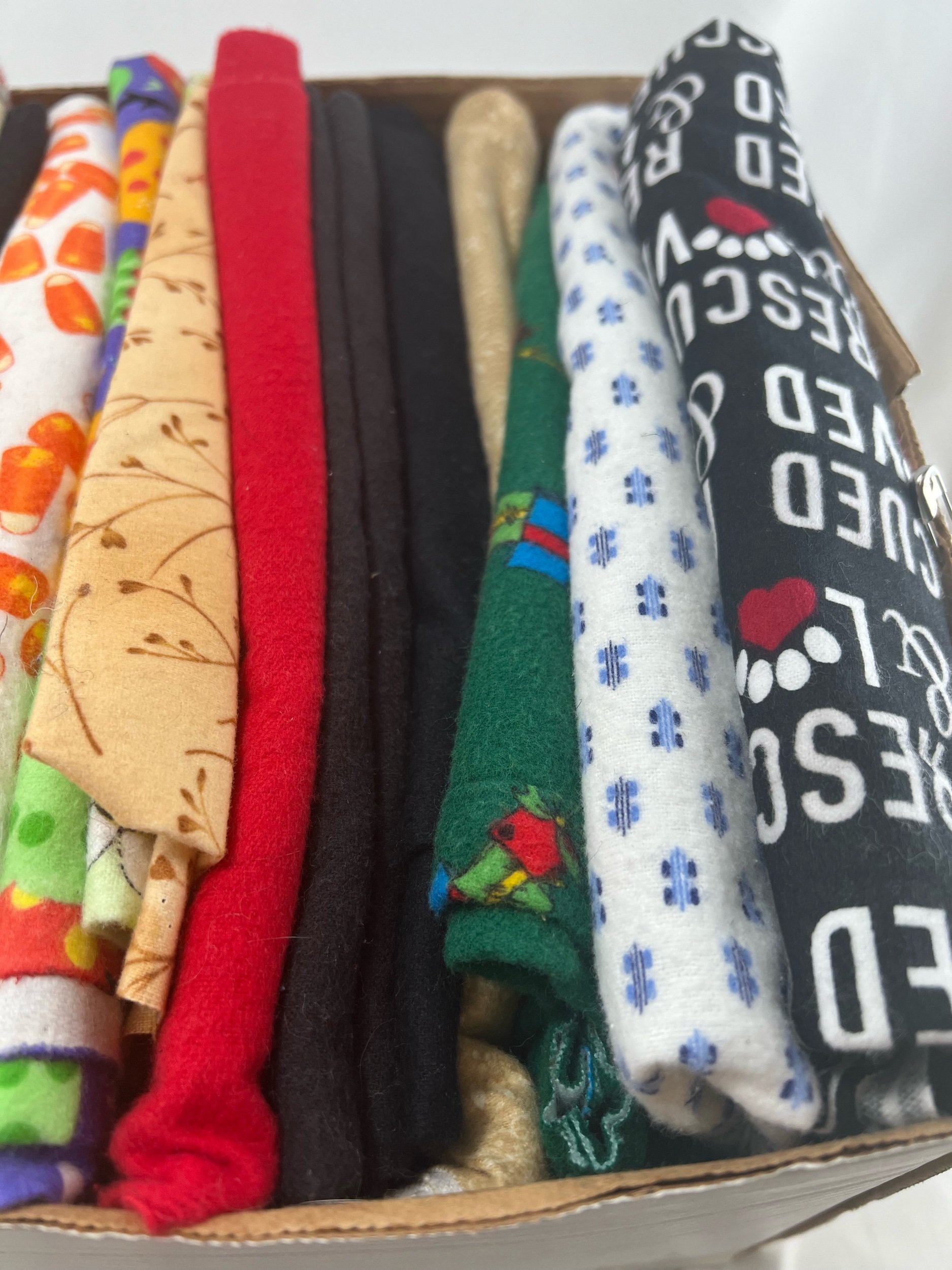 CA5D880C-BE8D-4B4C-89B6-E6E35998A088.jpeg