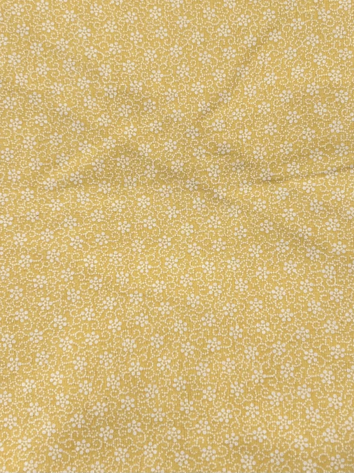 0CF25993-61F9-4782-B0E0-39CAD192ED61.jpeg
