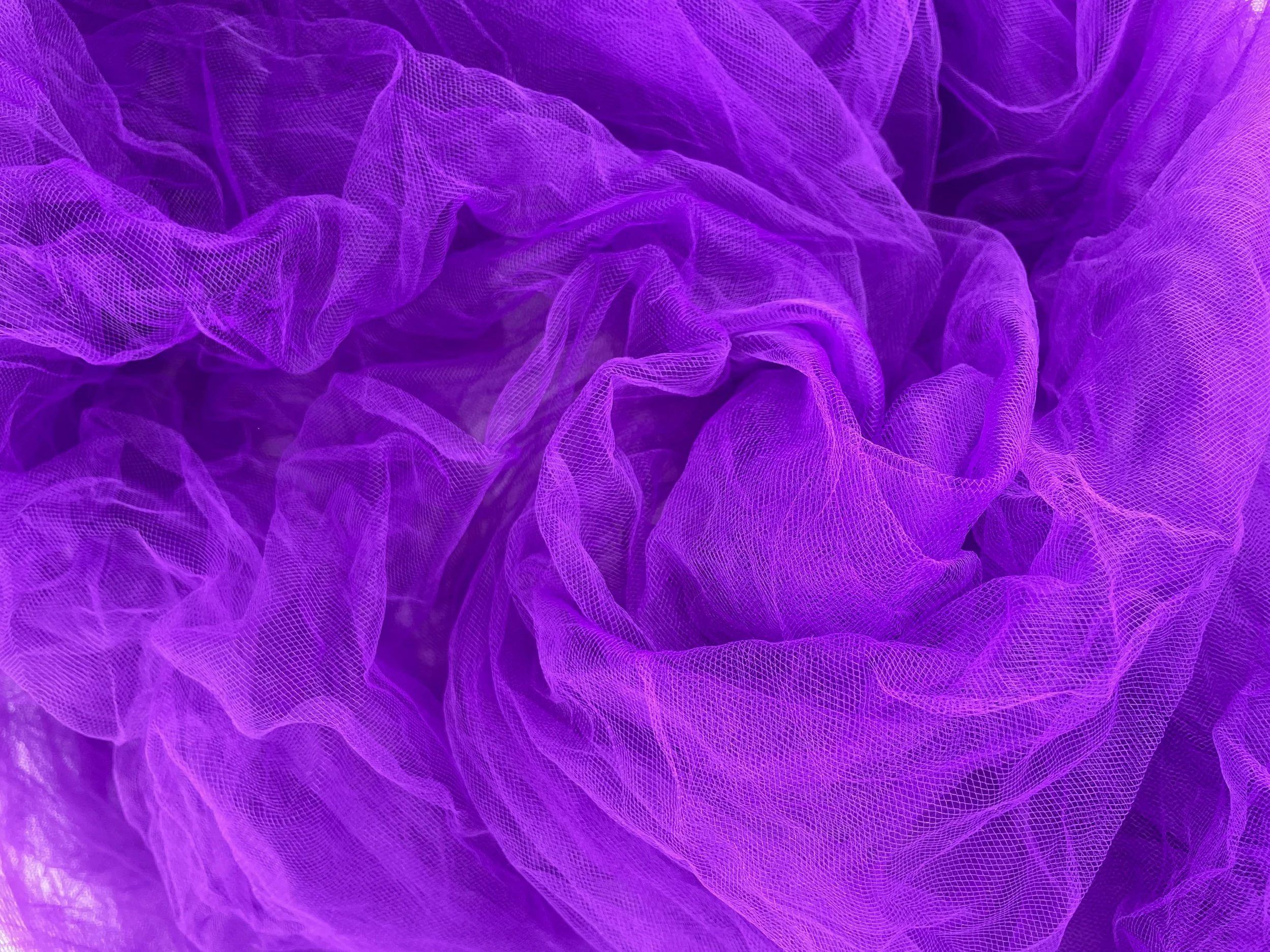 092F5082-0183-4220-A319-54FA0EF7720A.jpeg