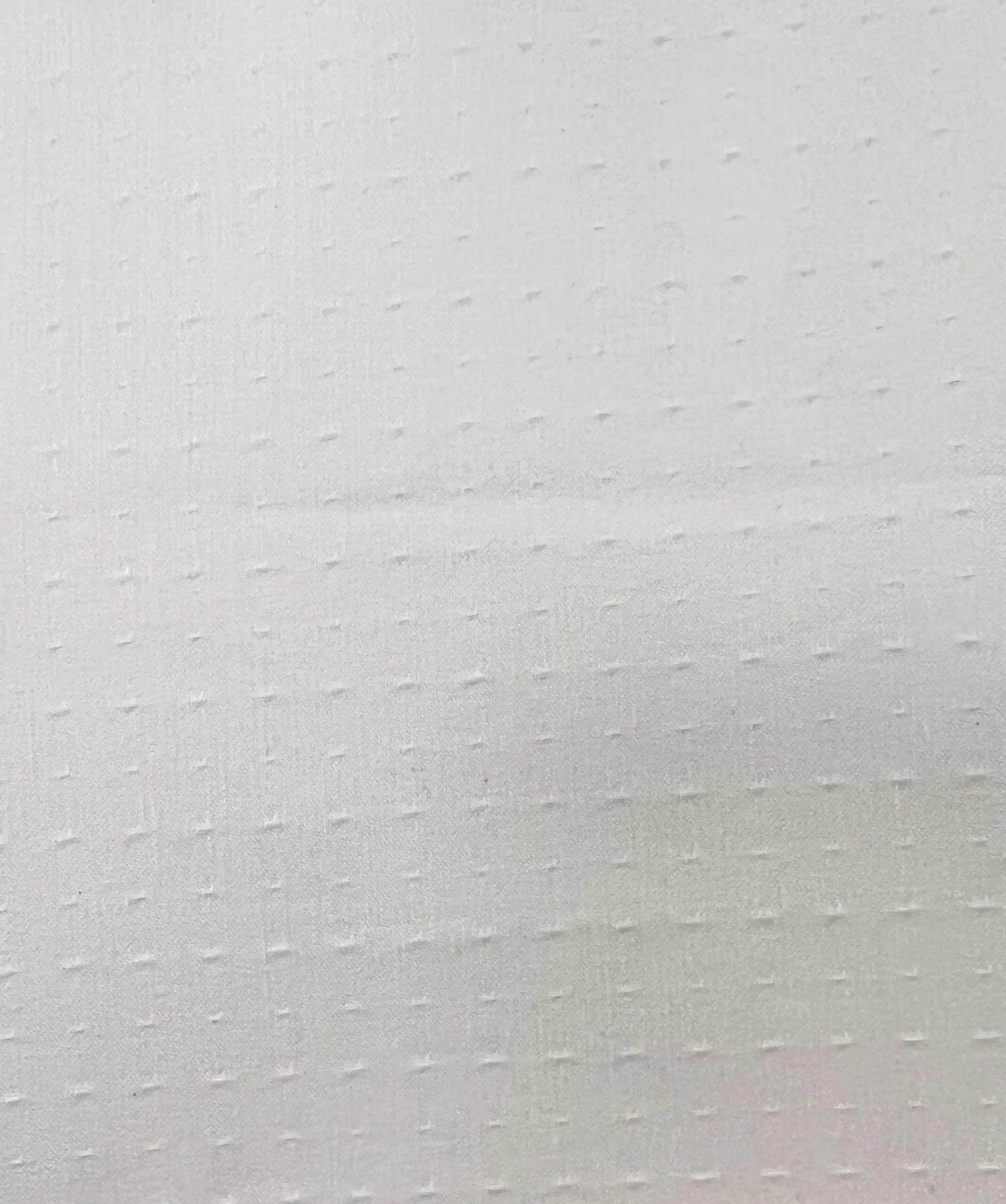 C3B4C01A-988D-4EC1-B62F-BA8E8930598B.jpeg