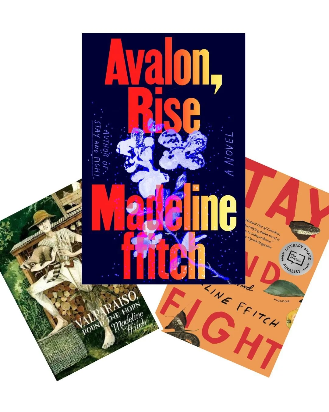 Madeline ffitch Book Bundle