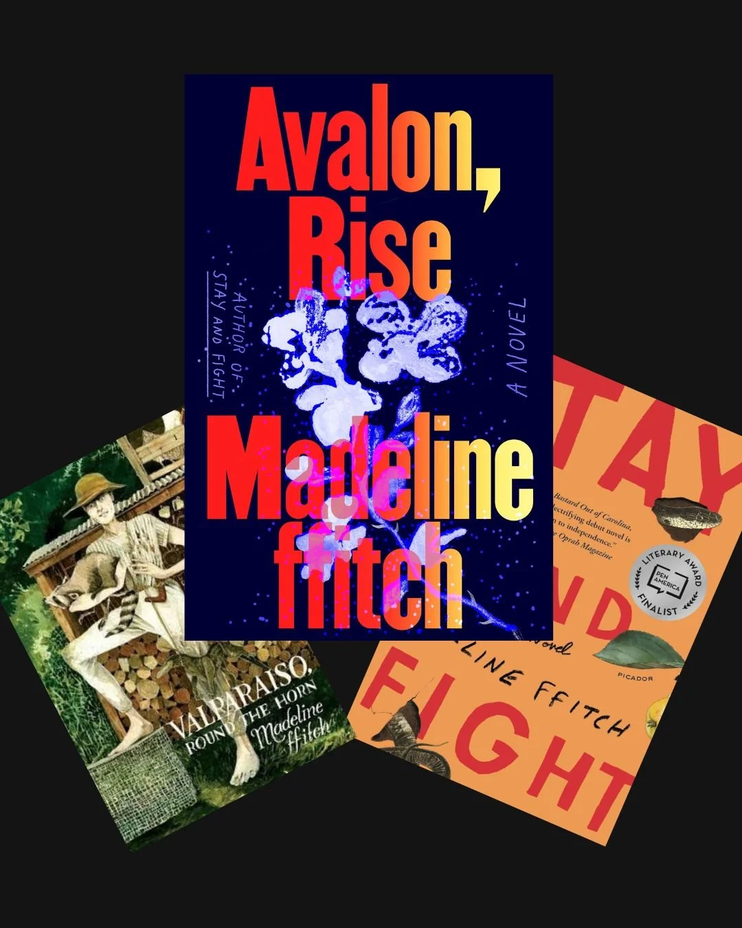 madeline ffitch book collection