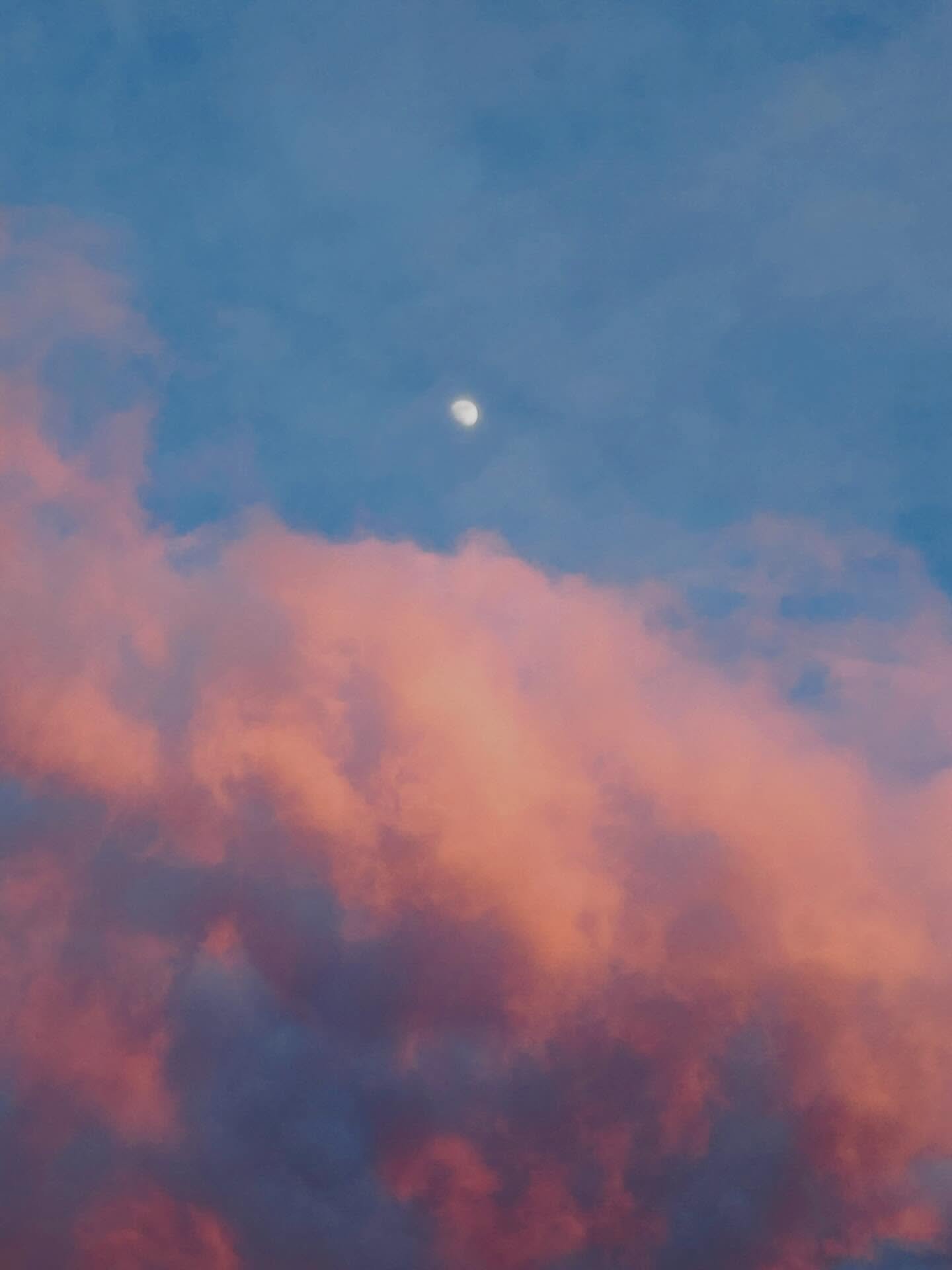 Beautiful sky as we walked out of my Clients Breathwork session. 

Later when I looked back on the photo I took. I could see something. 

Can you see it ? 
If so what do you see ? 

#skylover #cloudlovers #moonlover #lookup #forevergifted