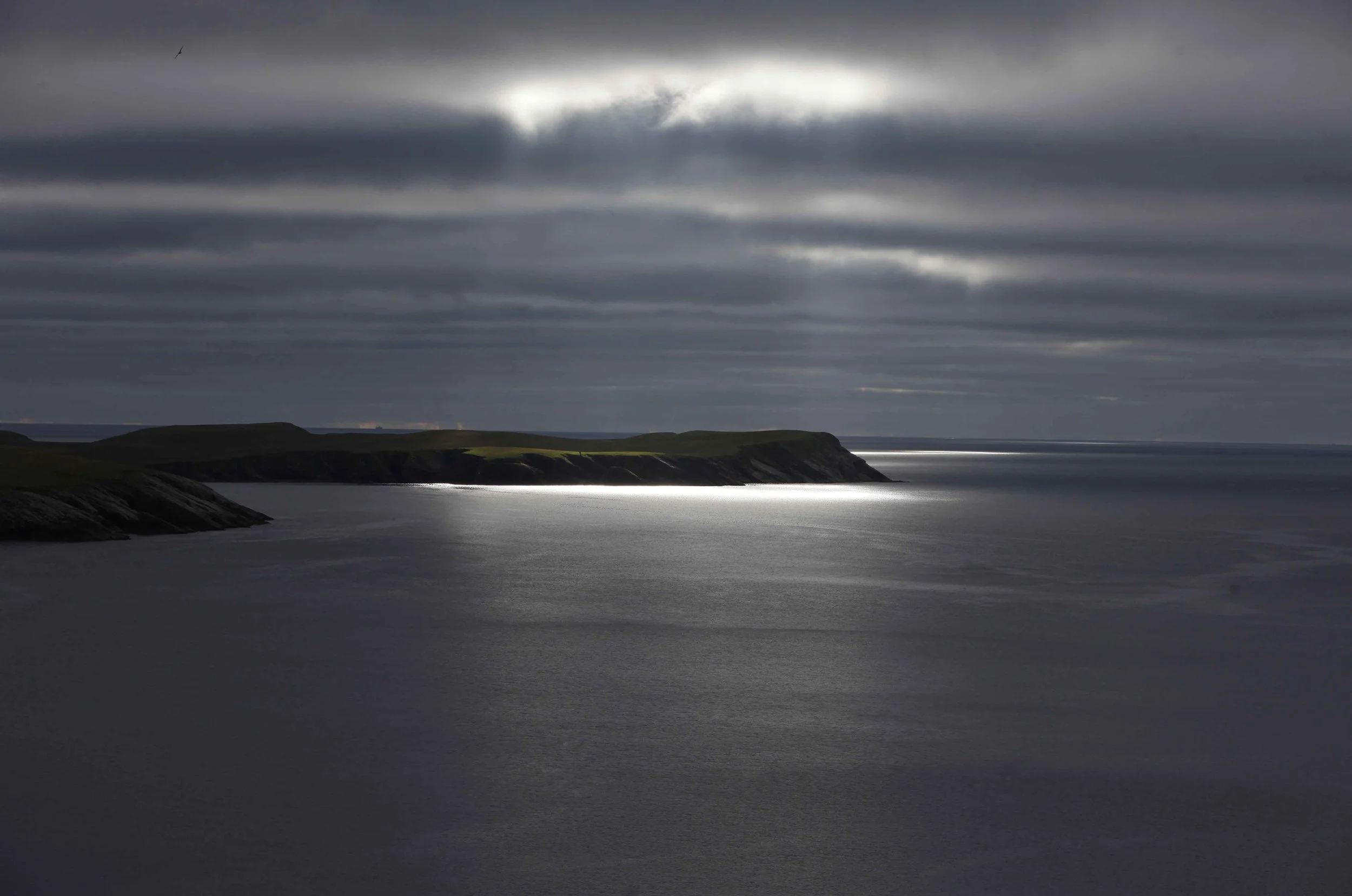 shetland2.jpg