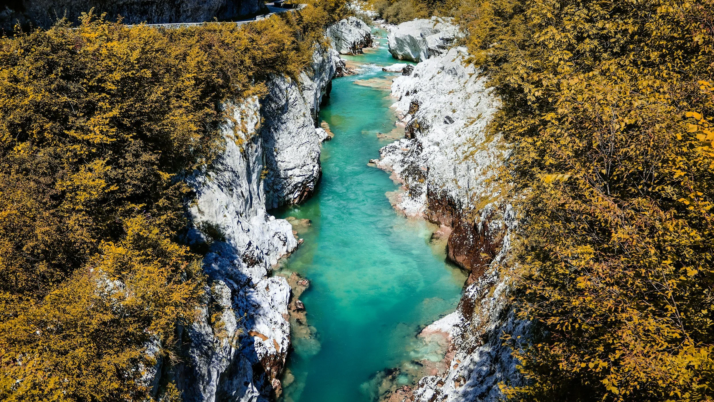 A blue-green rive flowing through a wooded canyon