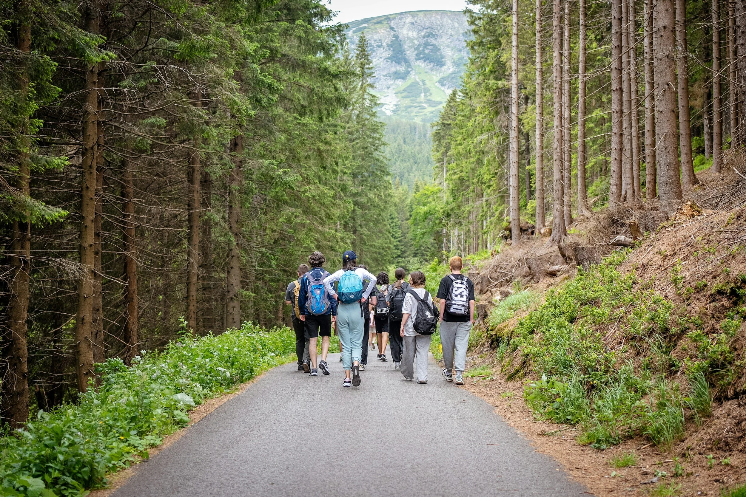 A group walking in the wooded mountains