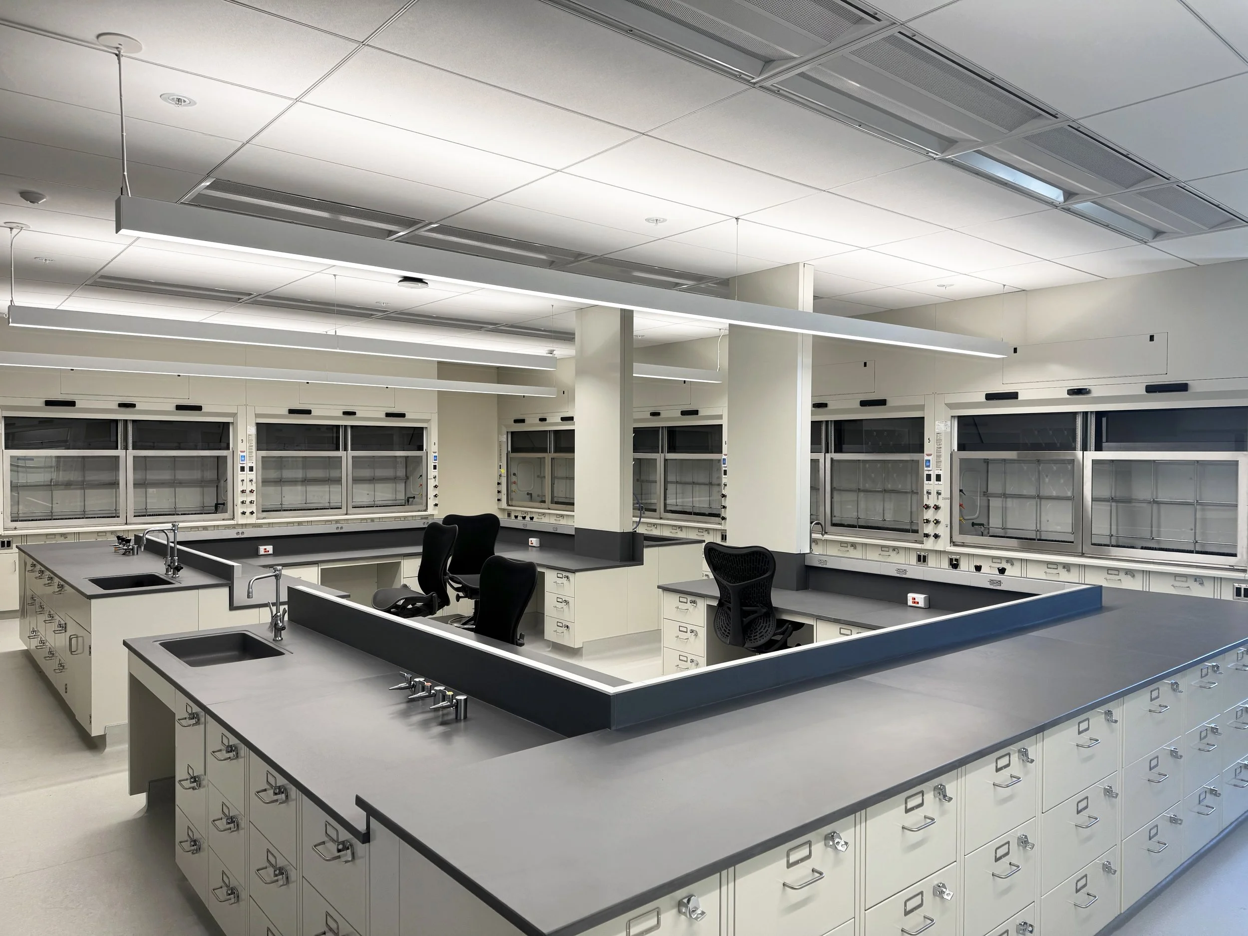 Steel casework and fume hoods, in a lab