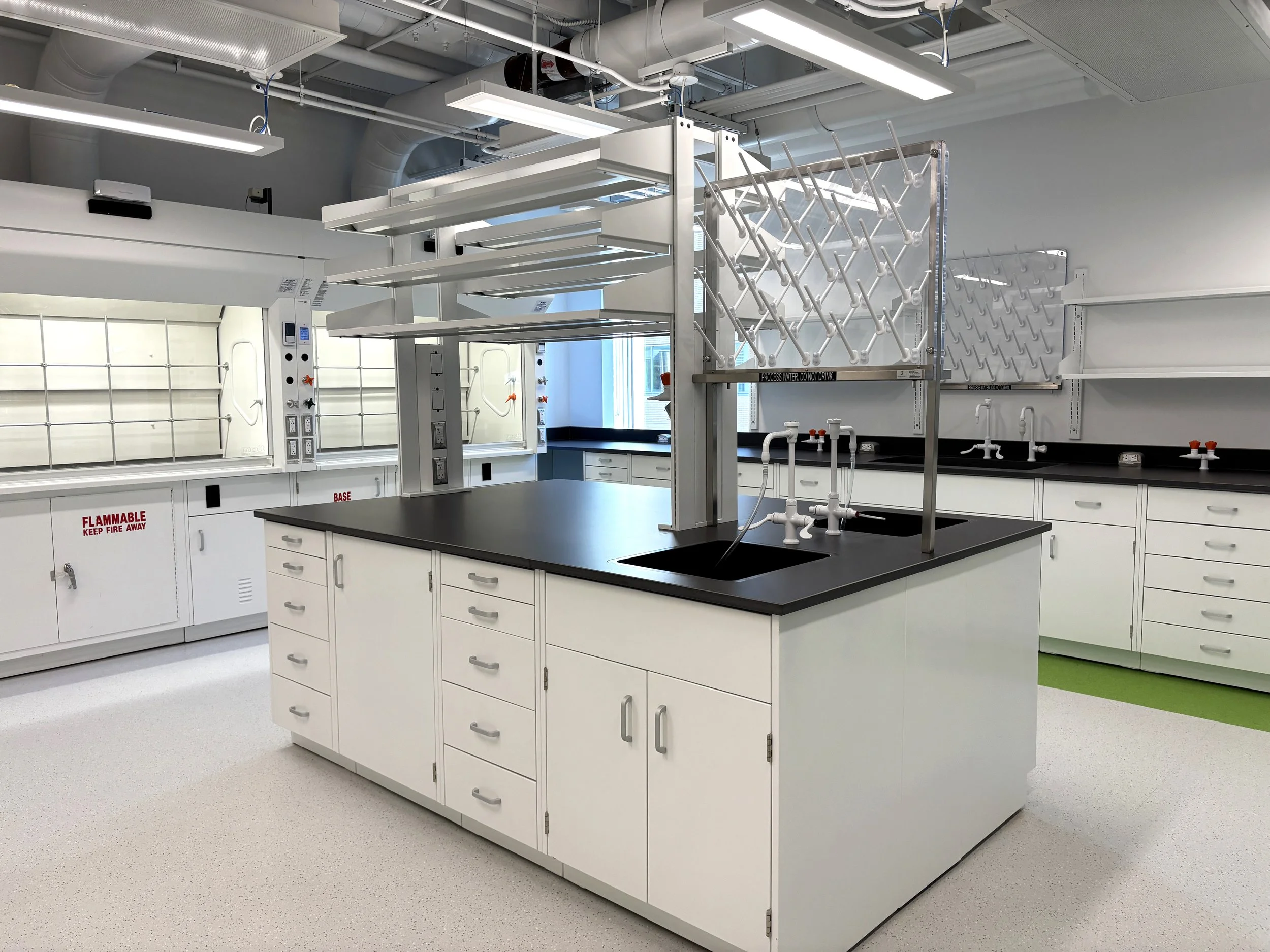 Painted steel casework with benchtop shelving and fumehoods, in a lab
