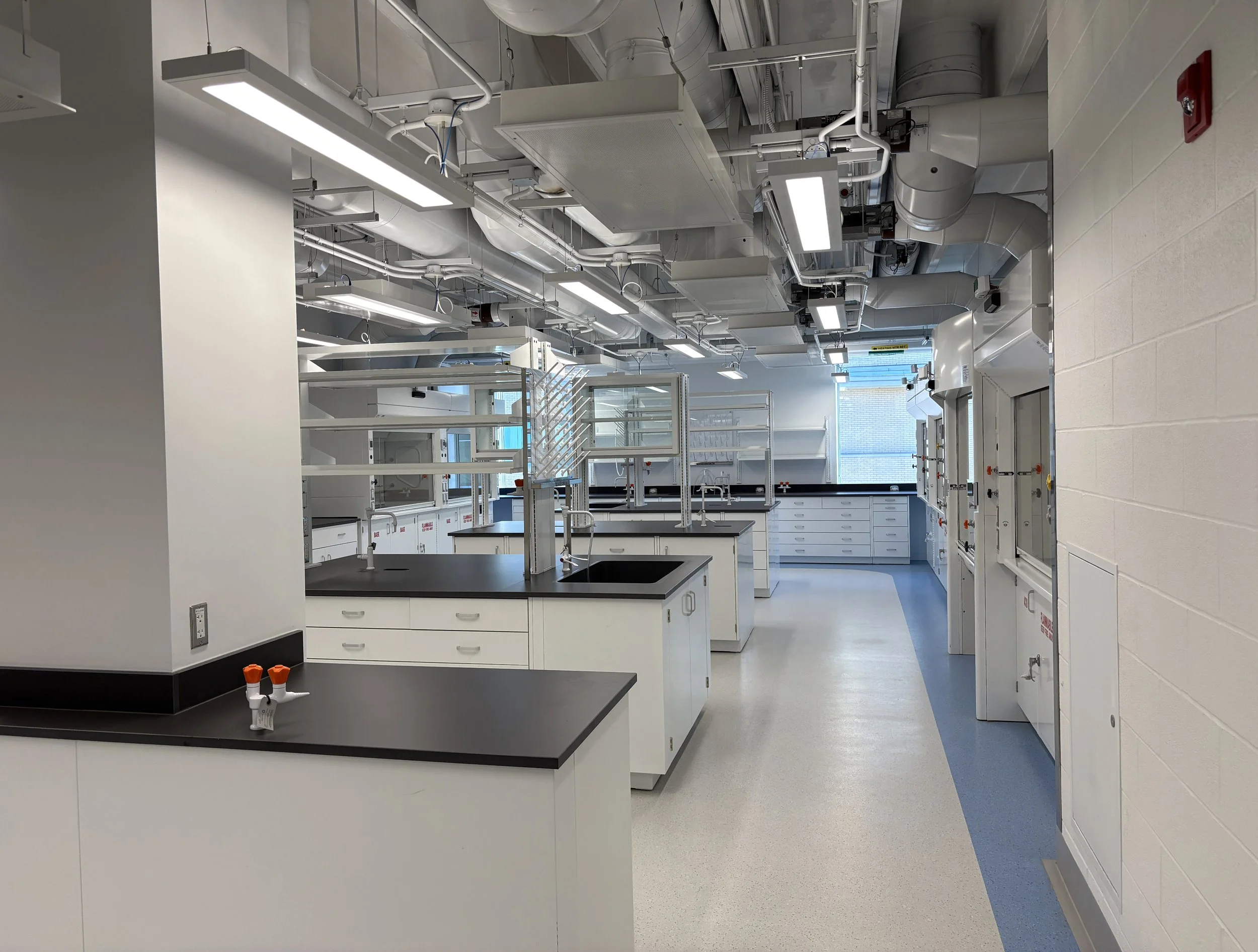 Painted steel casework, in a lab