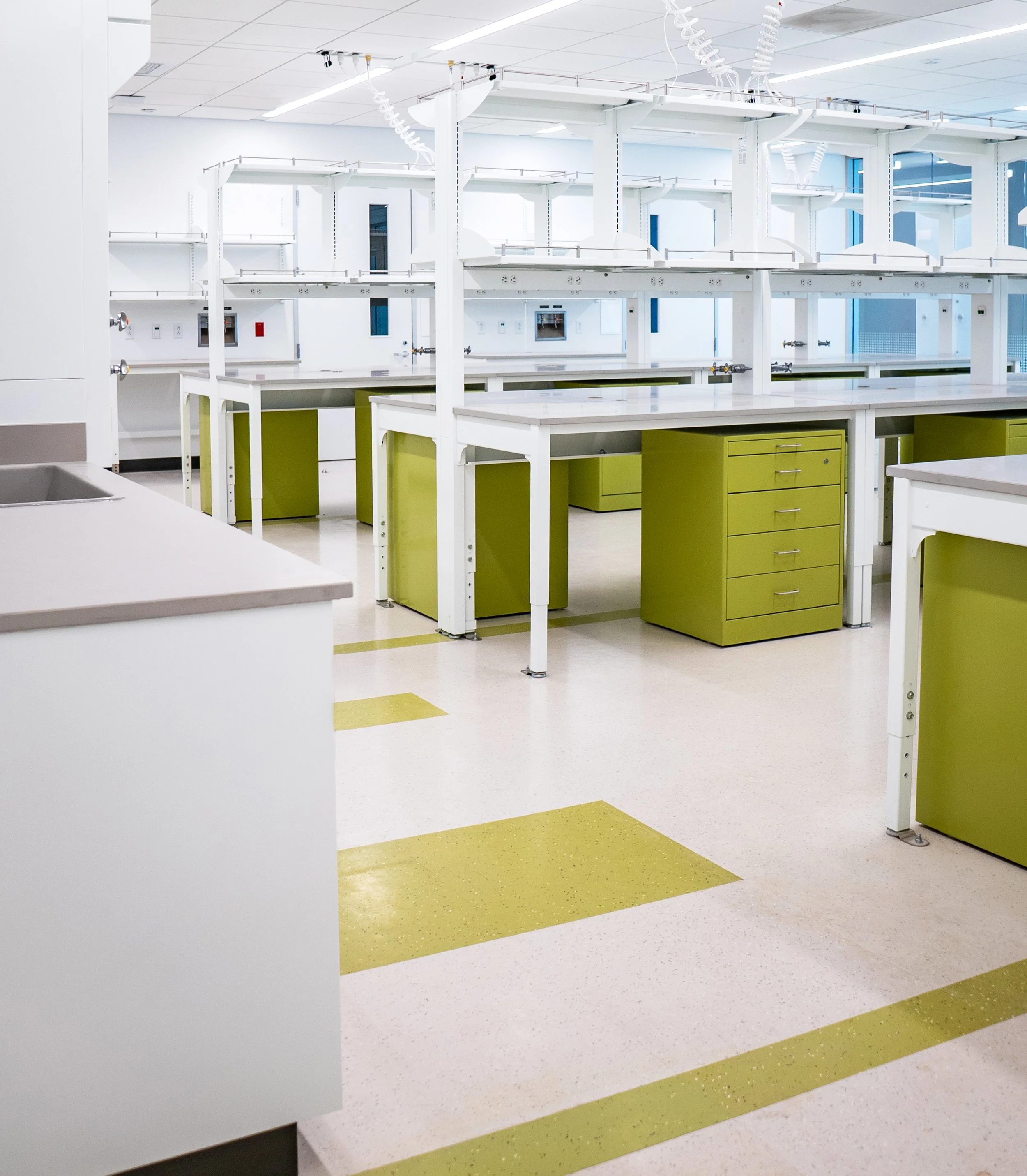 Stanford BMI499e.jpg