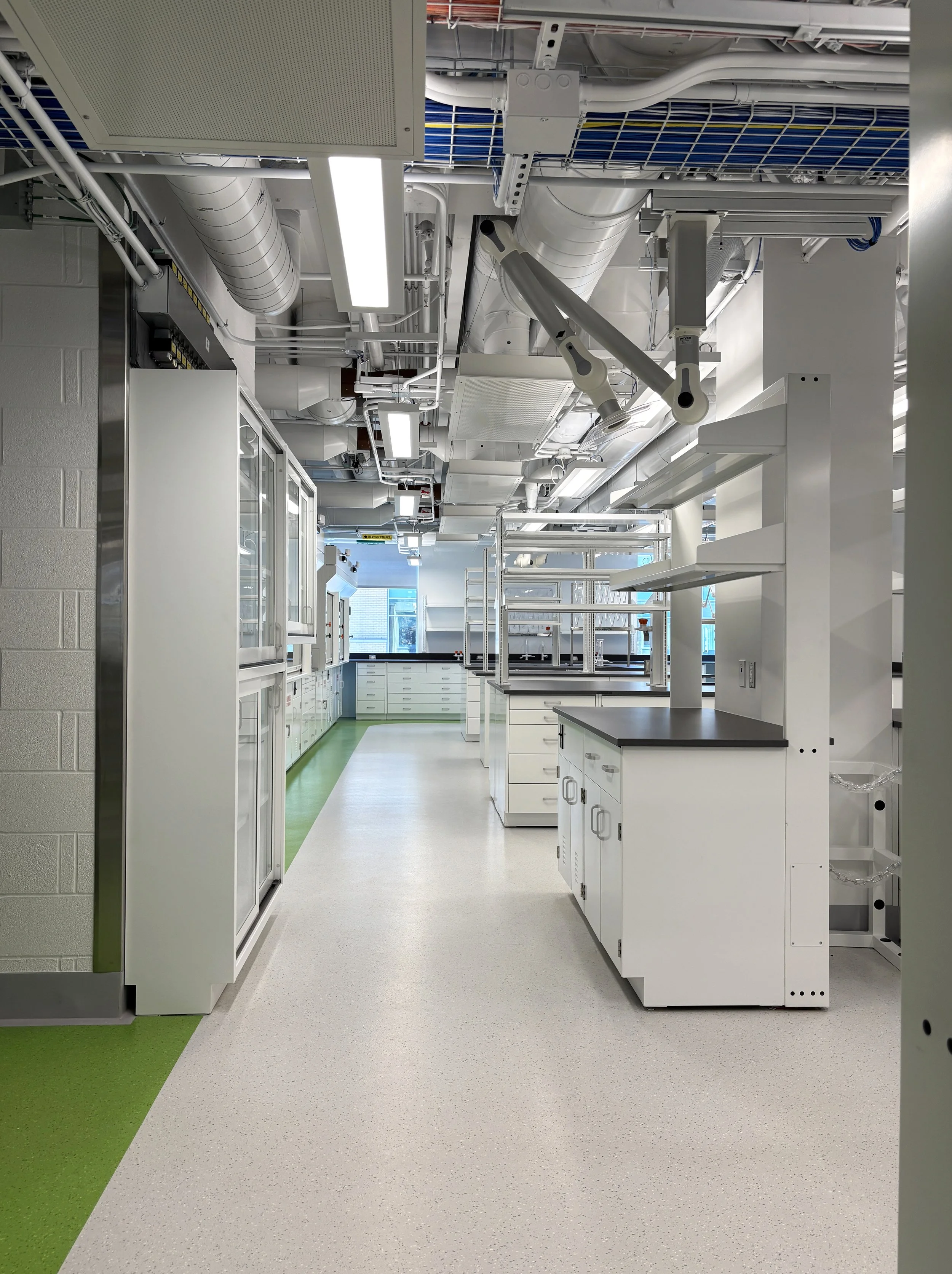painted steel casework, in a lab