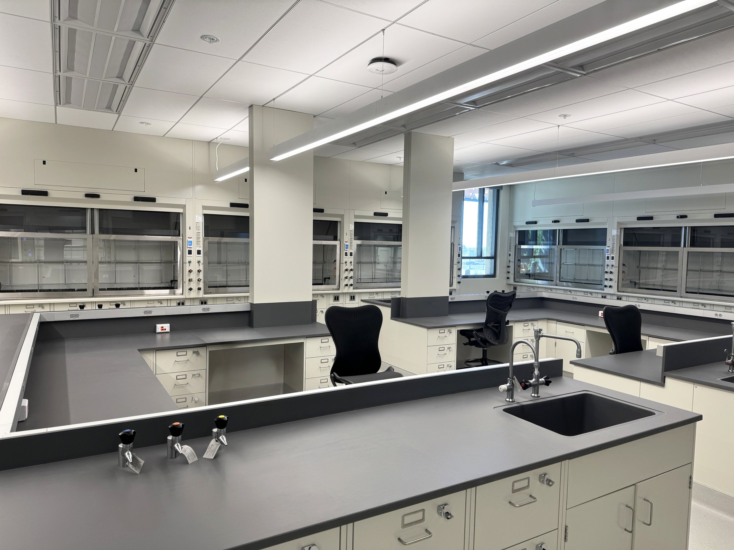 Steel casework and fume hoods, in a lab