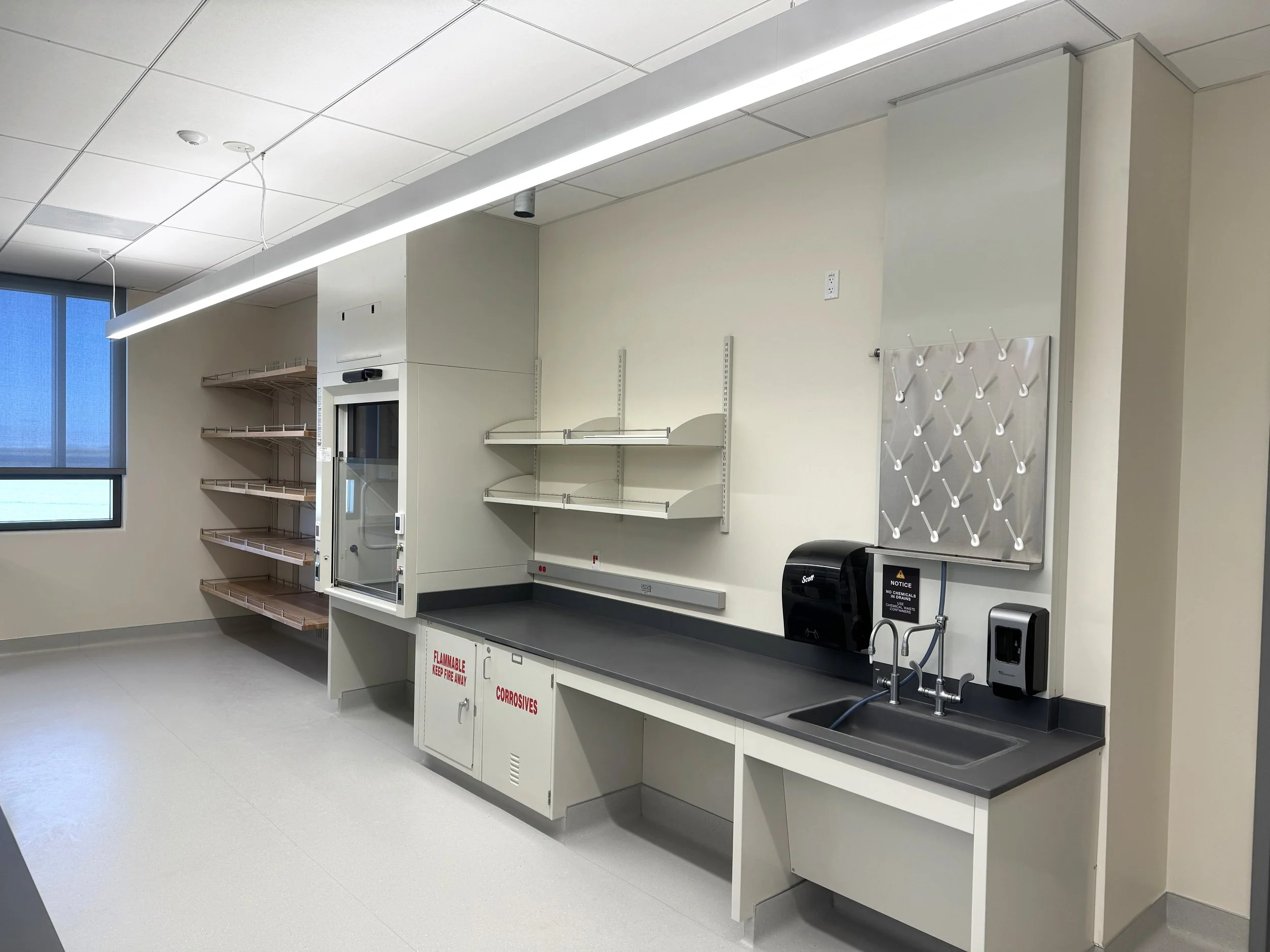 fume hood, steel casework, wall shelving, in a lab