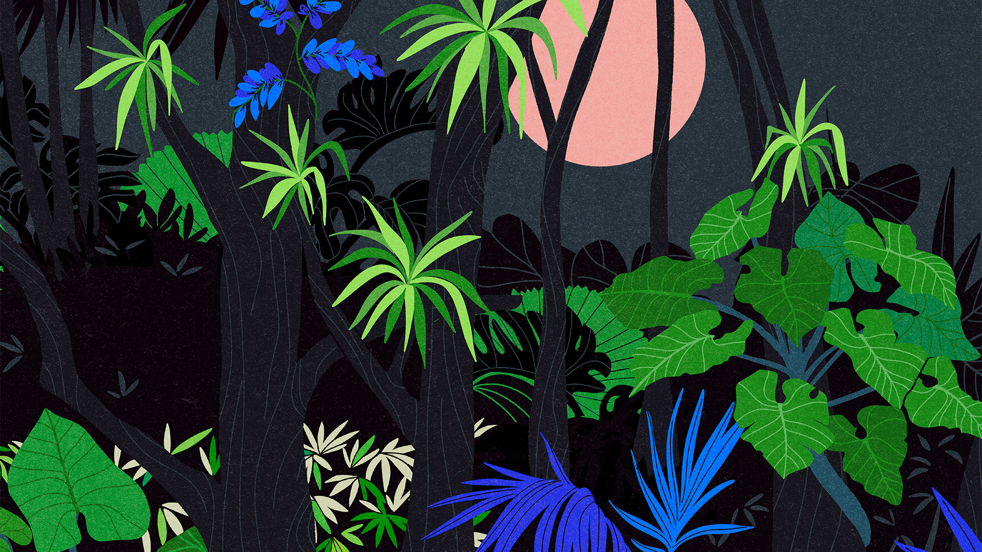 test1.png