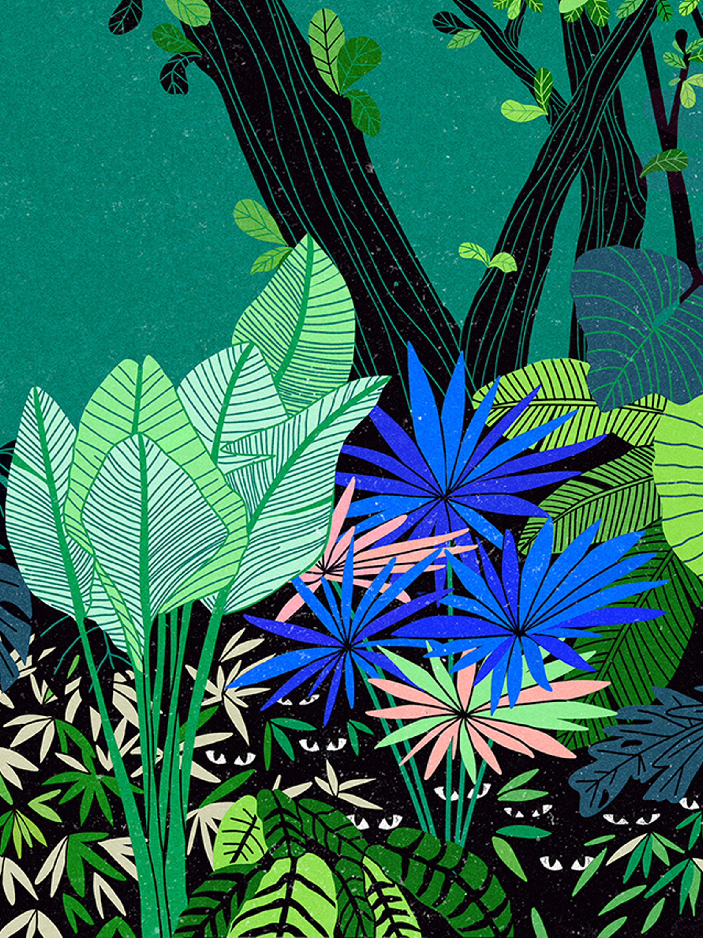 pascal-bosquet-Hidden Creatures.png