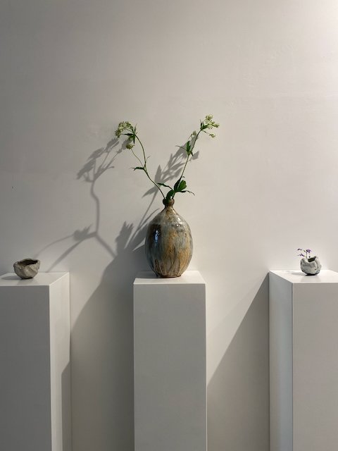 IMG_0239.jpeg