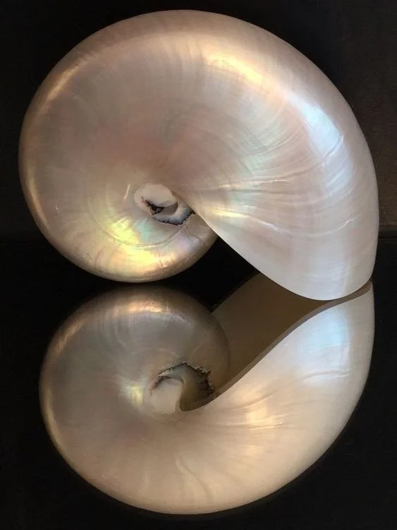 Sound Inquiry Meditations