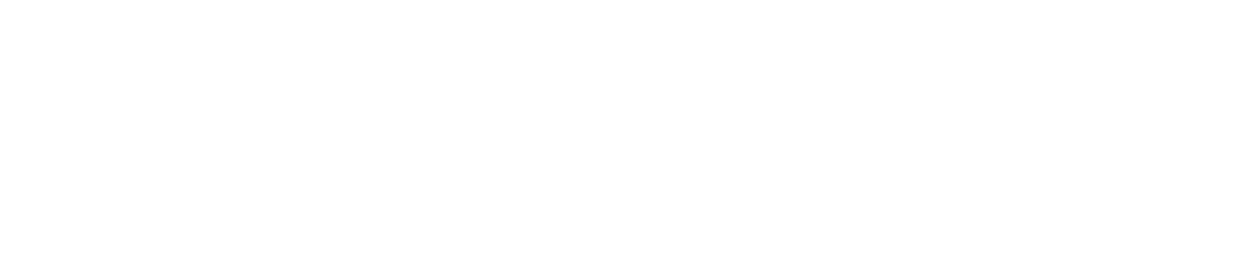 SoulFlow™ Embodiment