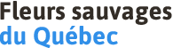 fleurs-sauvages-du-quebec-logo.png