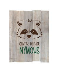 logo_nymoustransparentreduit.png