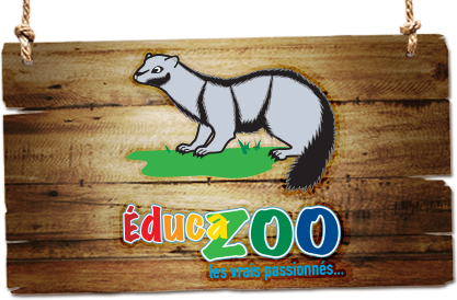 logo-4.png