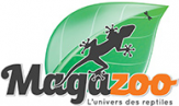 logo-5.png
