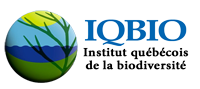 logo4.png