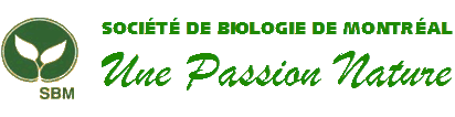 logo-sbm.png