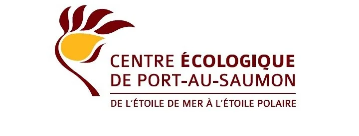 CEPAS_-_logo.jpg