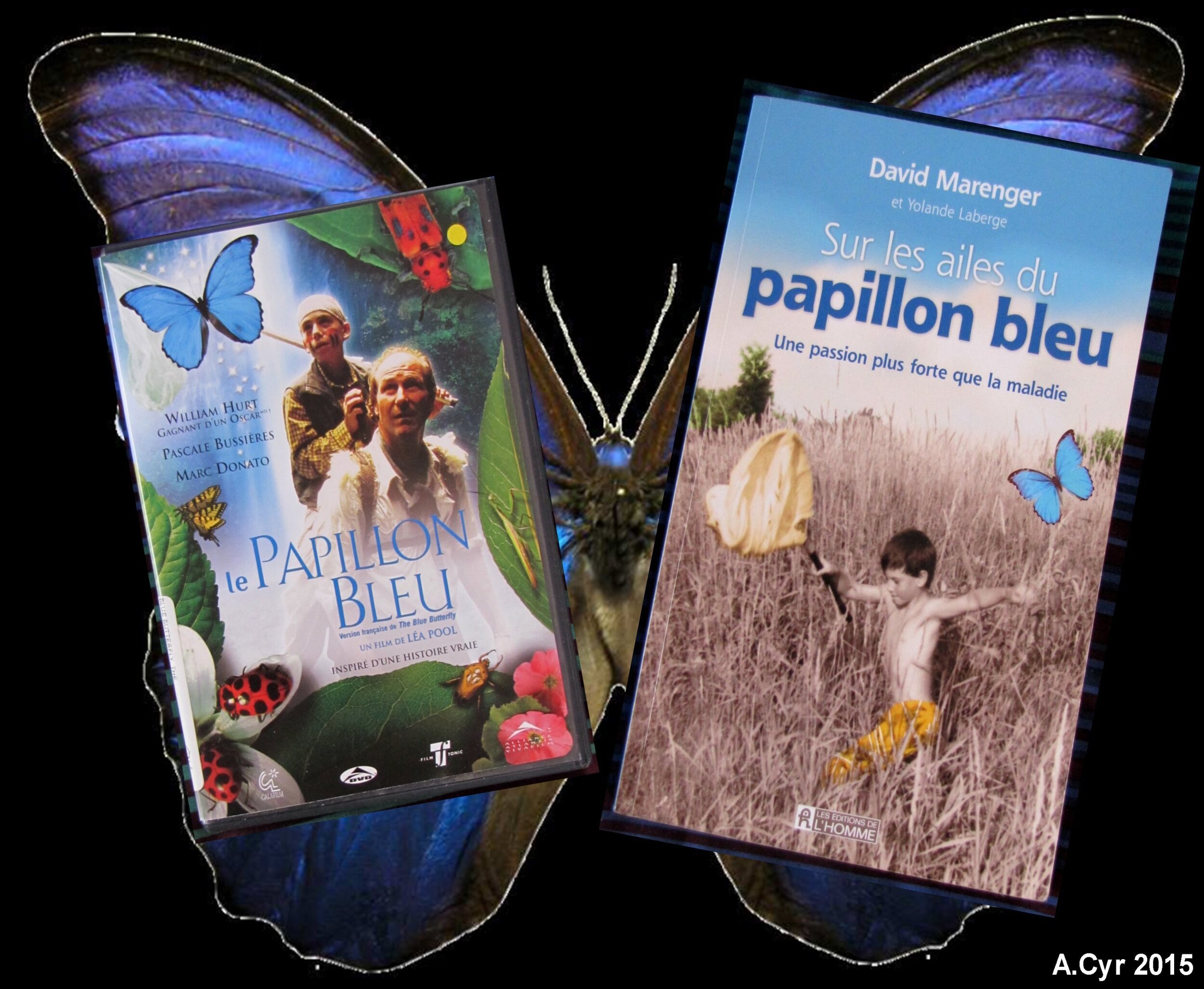 5.-Papillon-Bleu-en-fin-entrevue.jpg