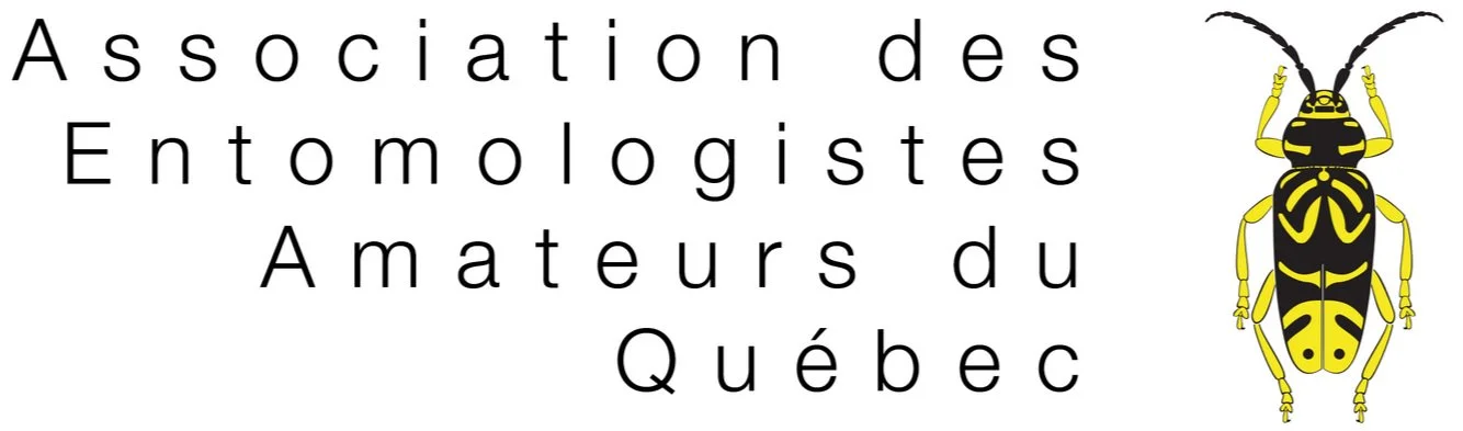 262985305_459203592330962_1151387504327643955_n+%281%29.jpg