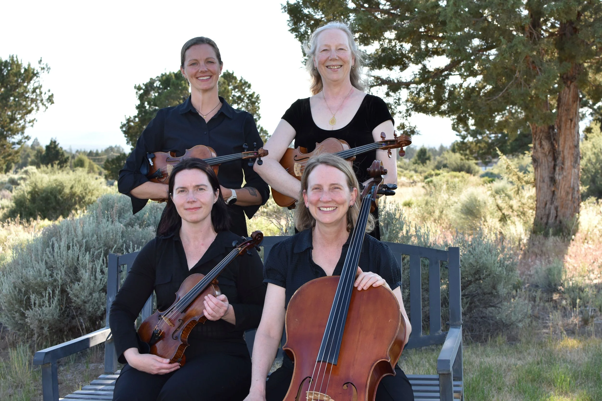 Cascade Chamber Players | Music in Public Places