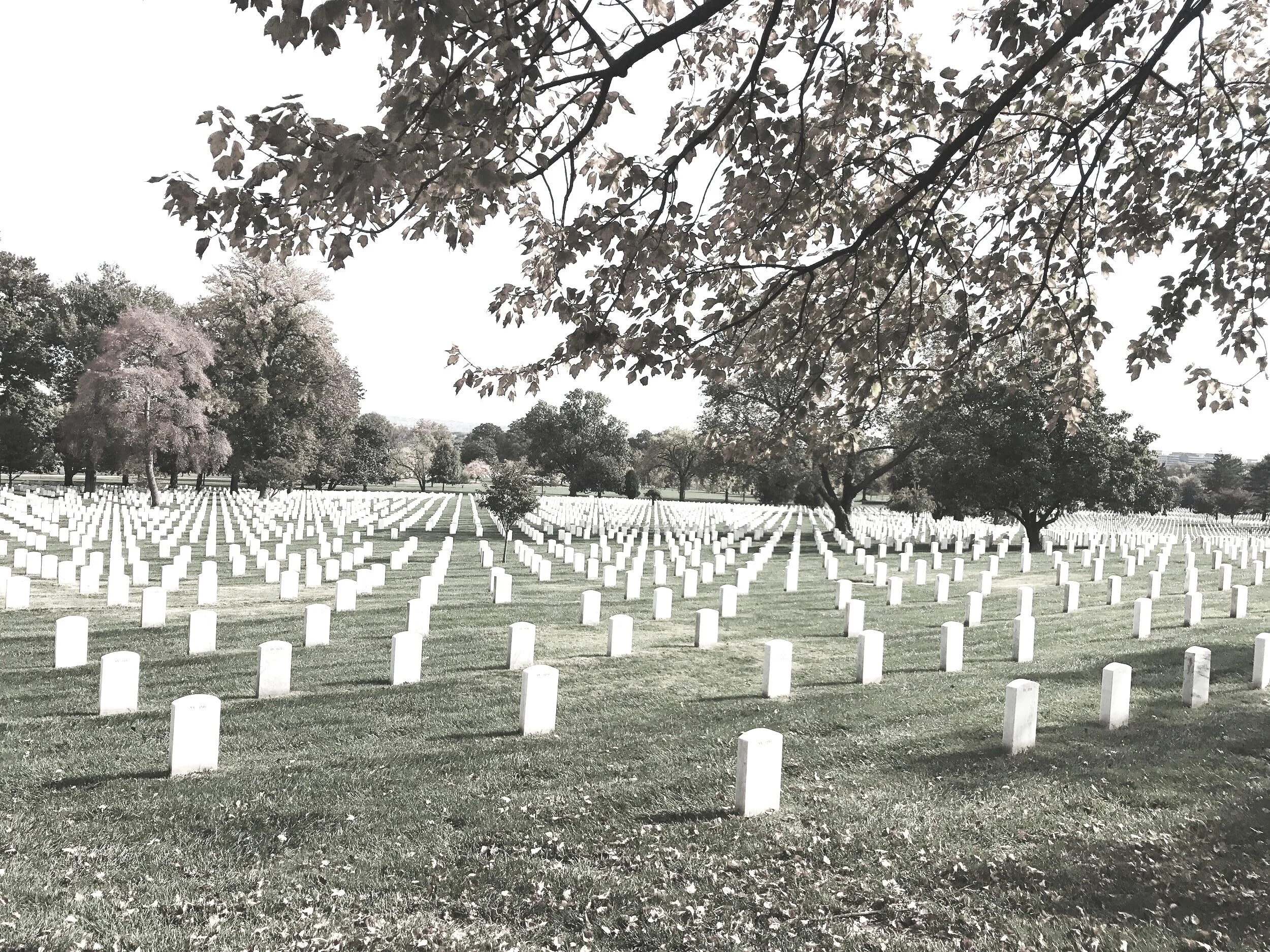 An Open Letter to Those Who Are Grieving