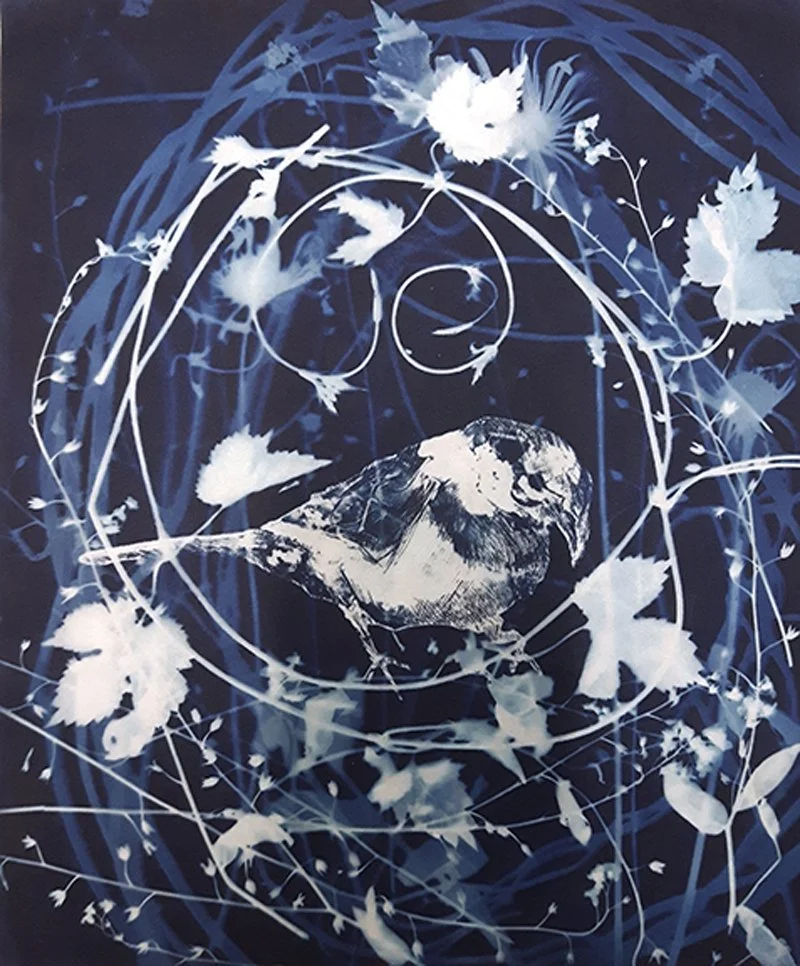 Creative Sunshine - An Introduction to Cyanotype Art