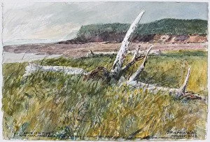 exploring watercolours with tom and william forrestall