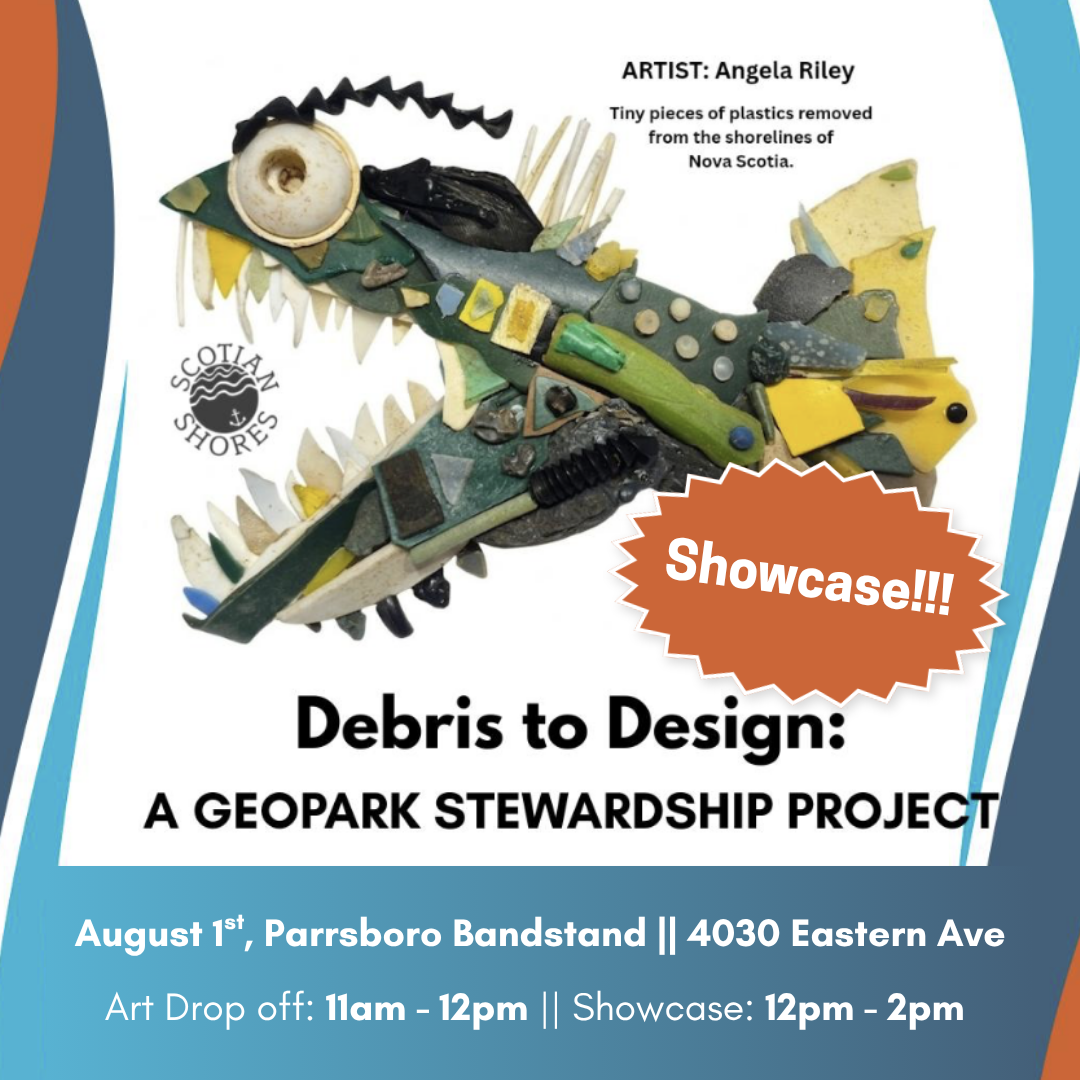 Debris to Design Showcase