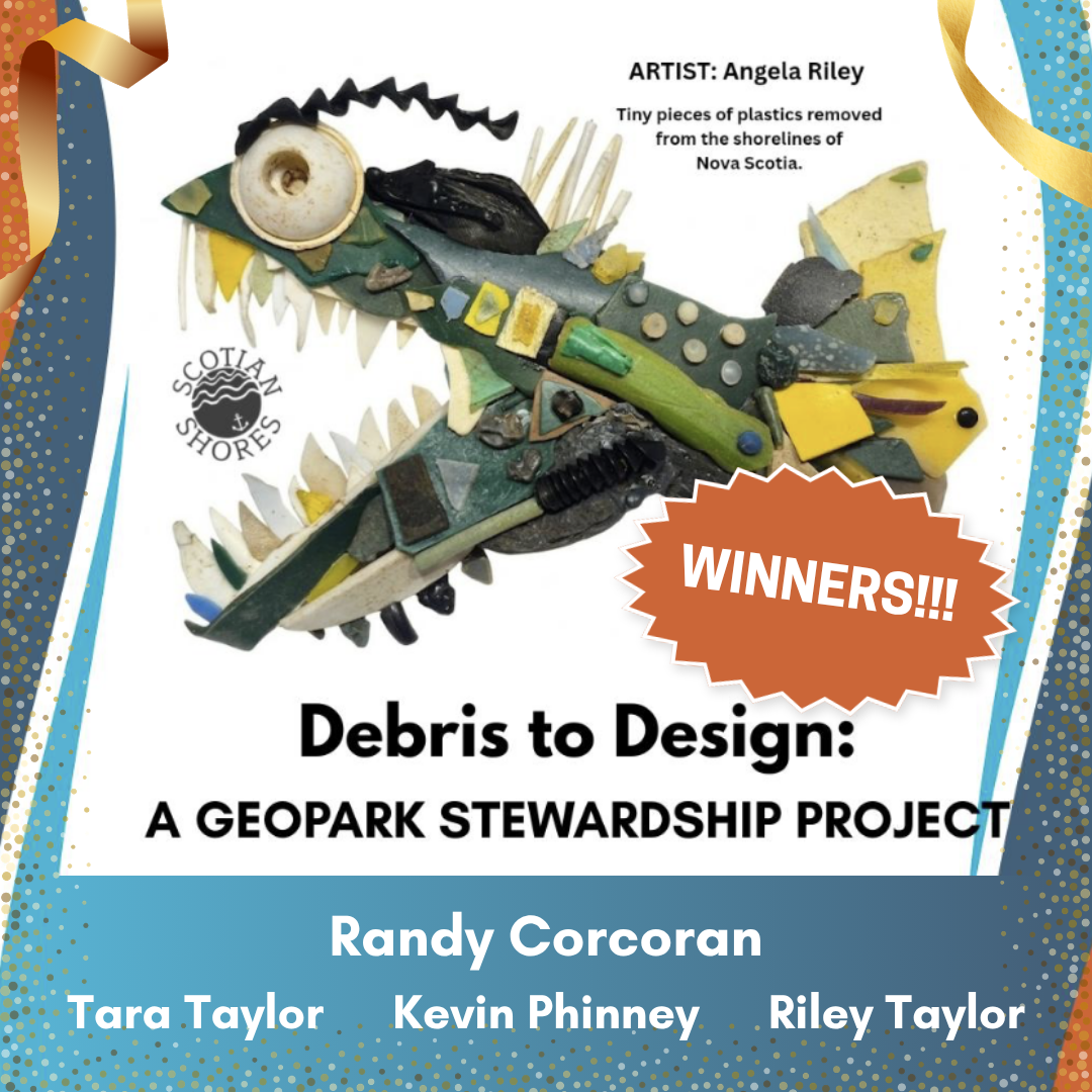 Debris to Design Winners!